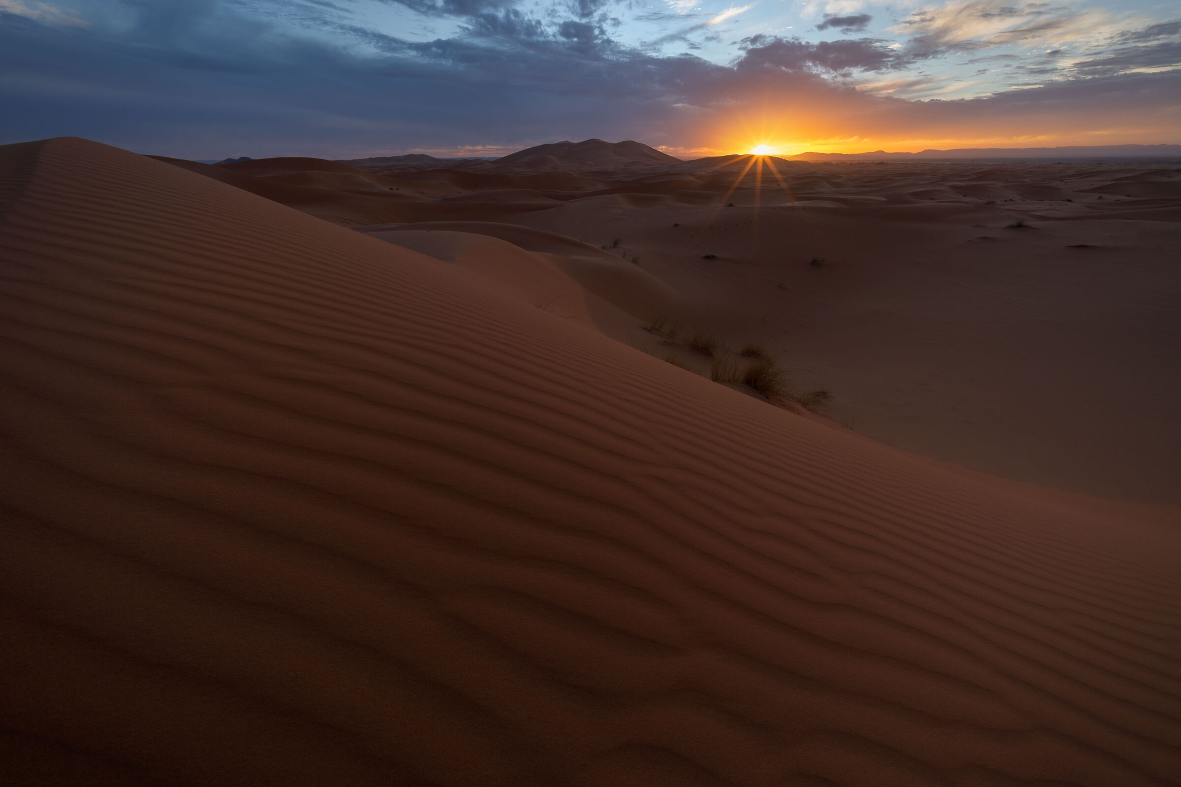 Sahara