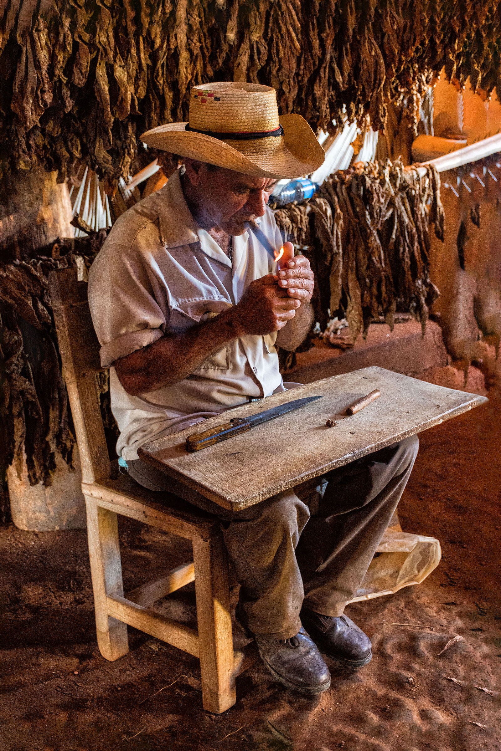 The cigar manufacturer in his workshop