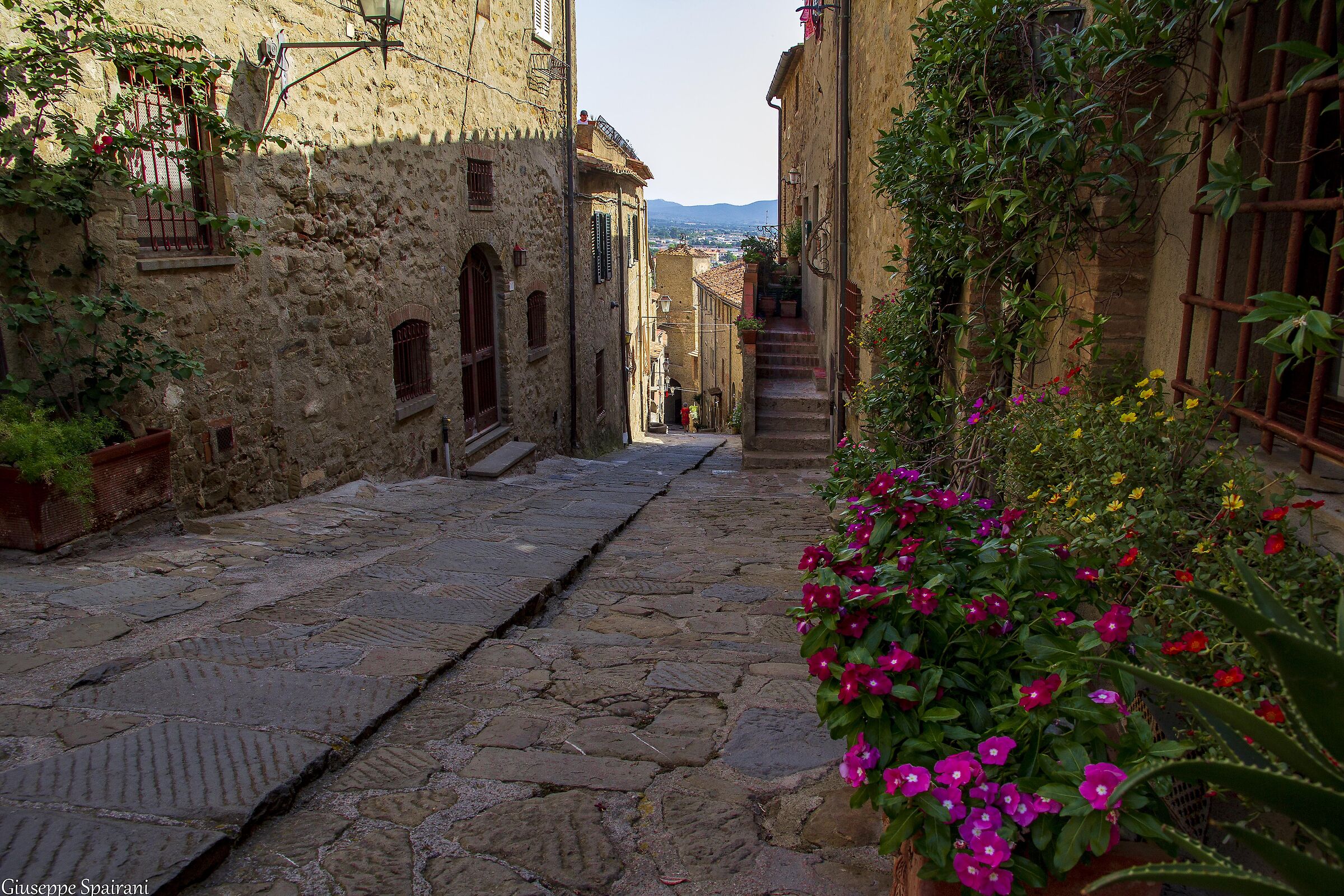 Castiglione della Pescaia