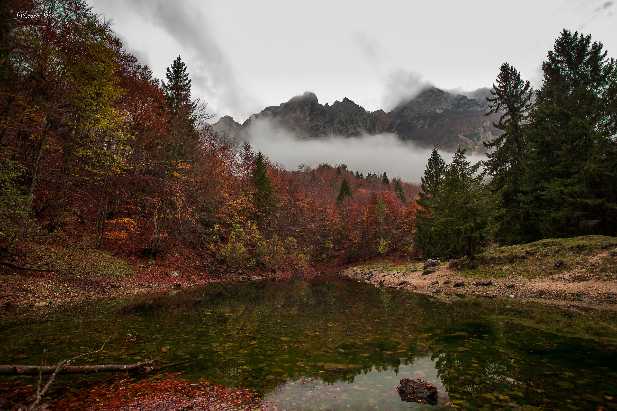 Sentiero dei grandi alberi
