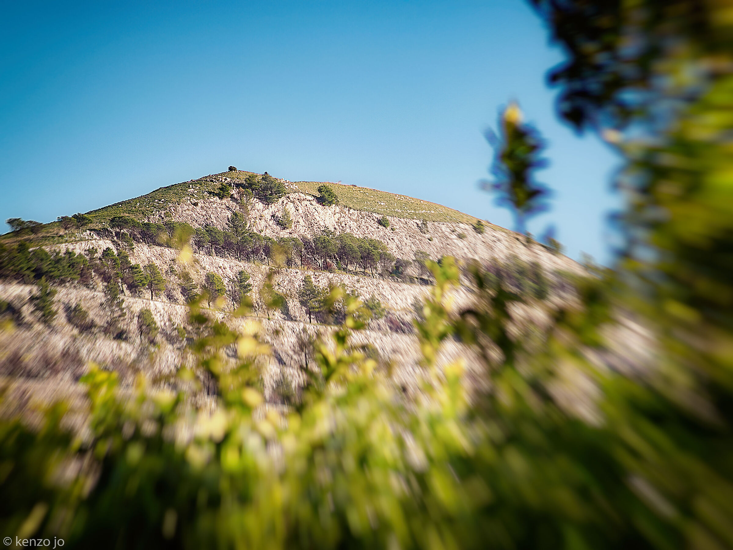 Compassionate nature