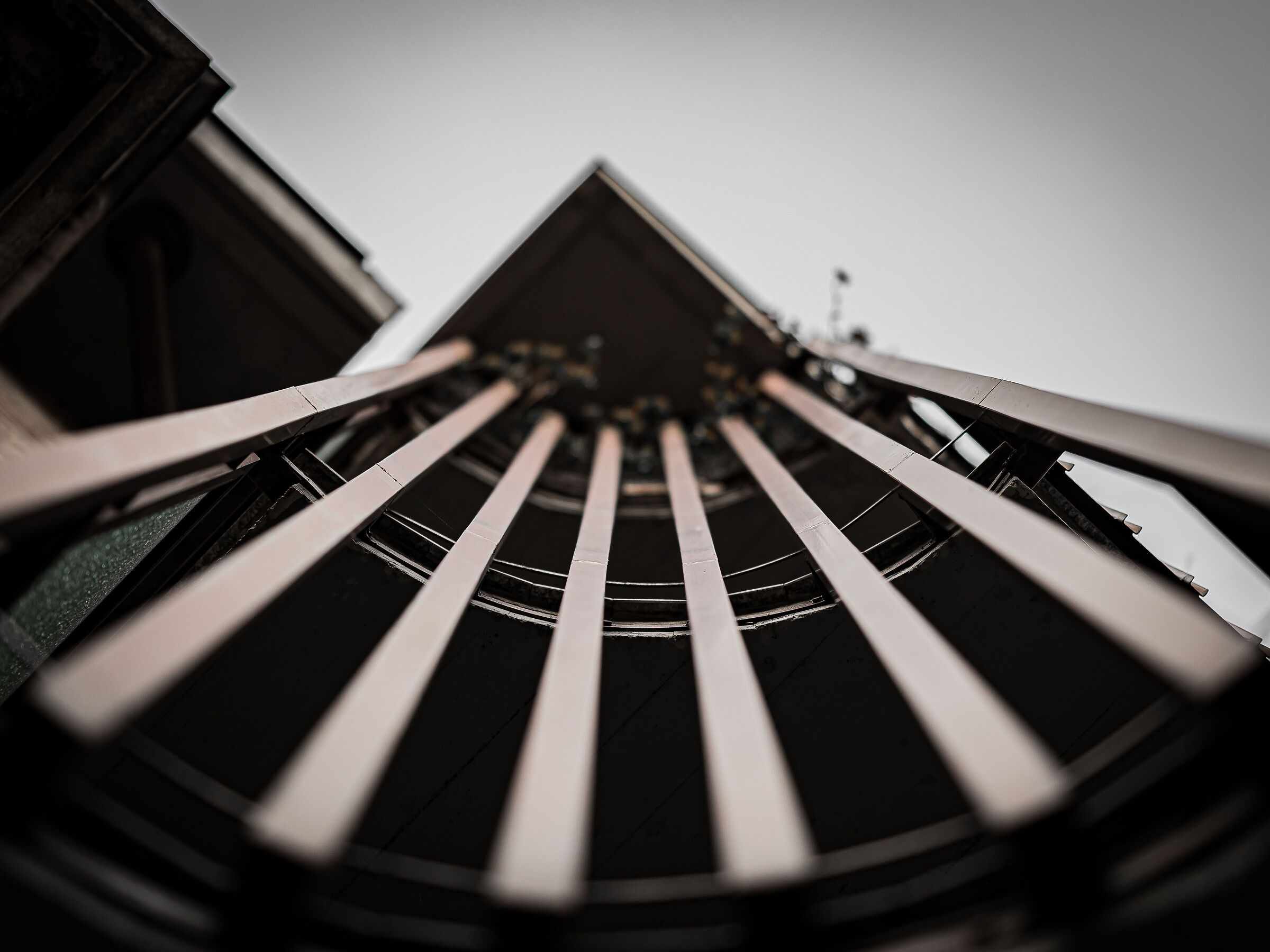 Linee di costruzione