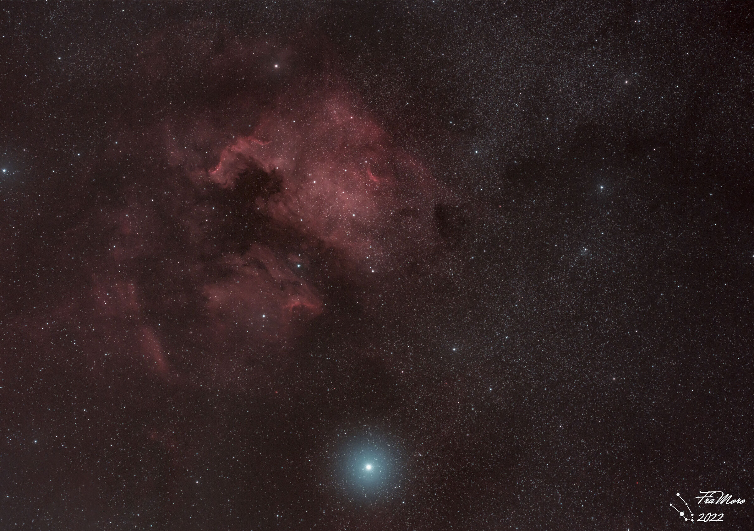 Deneb, Nord America e Pellicano