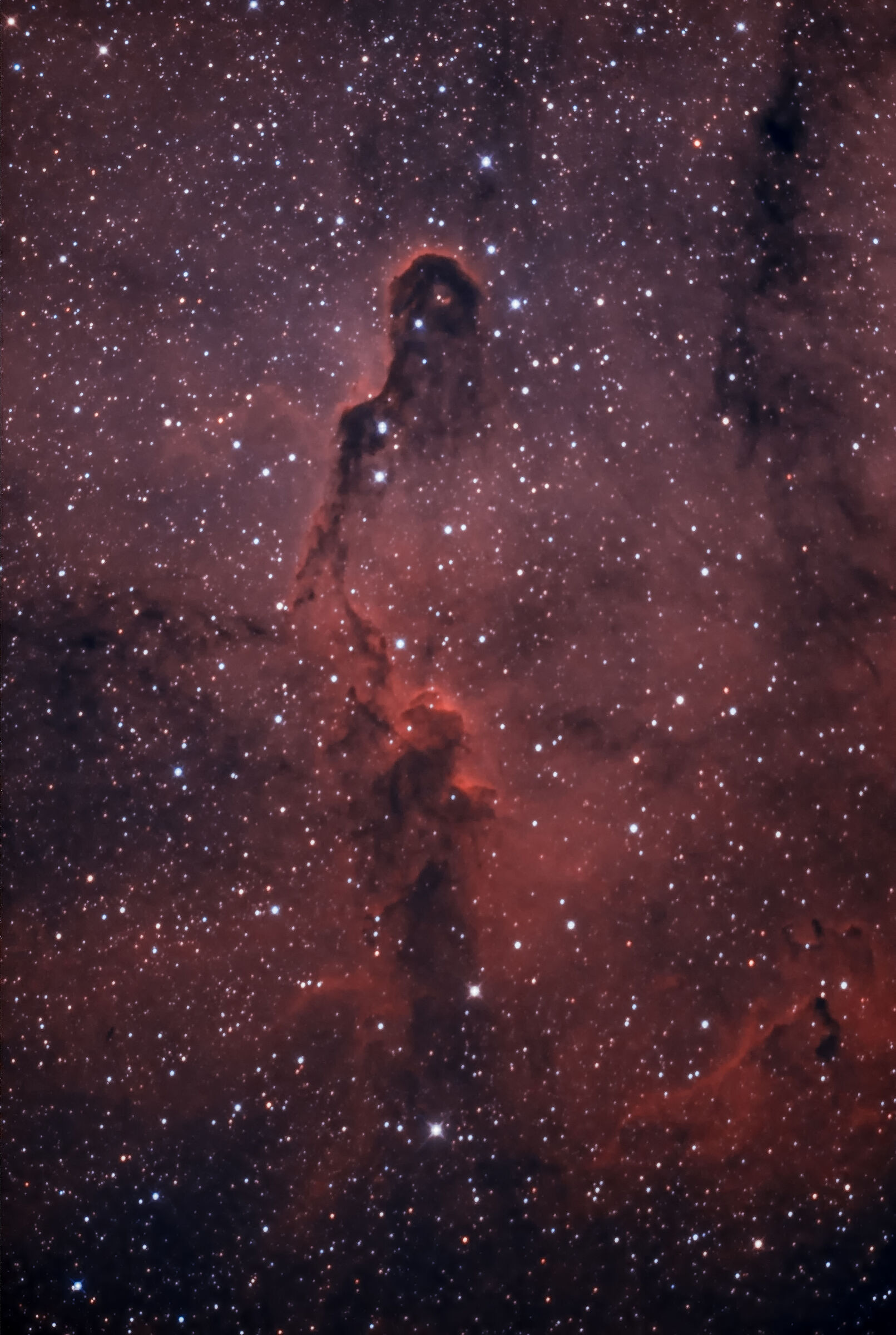 IC 1396 - Elephant's Trunk (HO Processing)