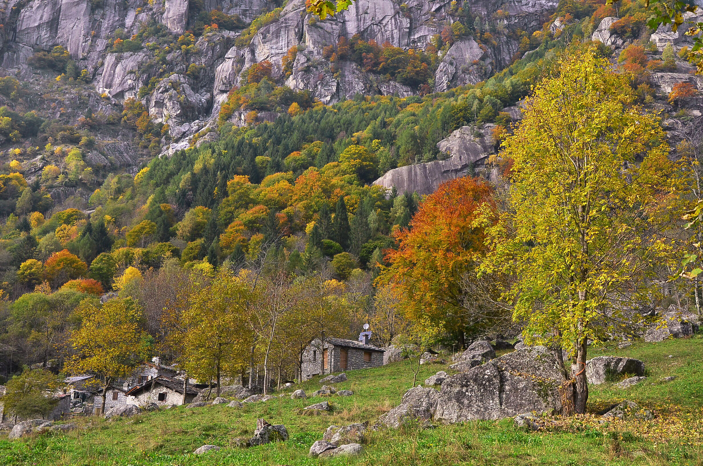 in  Val di Mello
