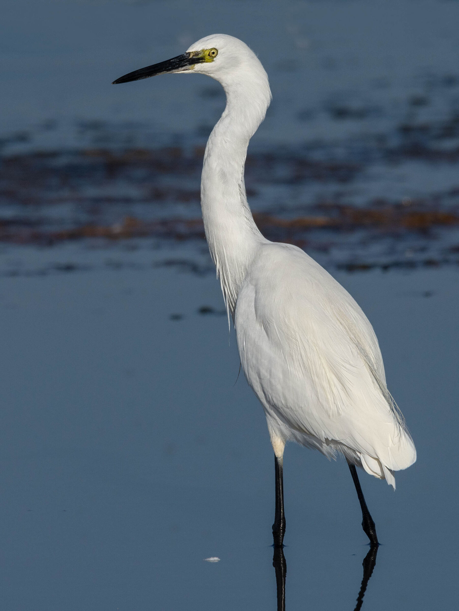 Oui.. je suis Catherine Deneuve!!