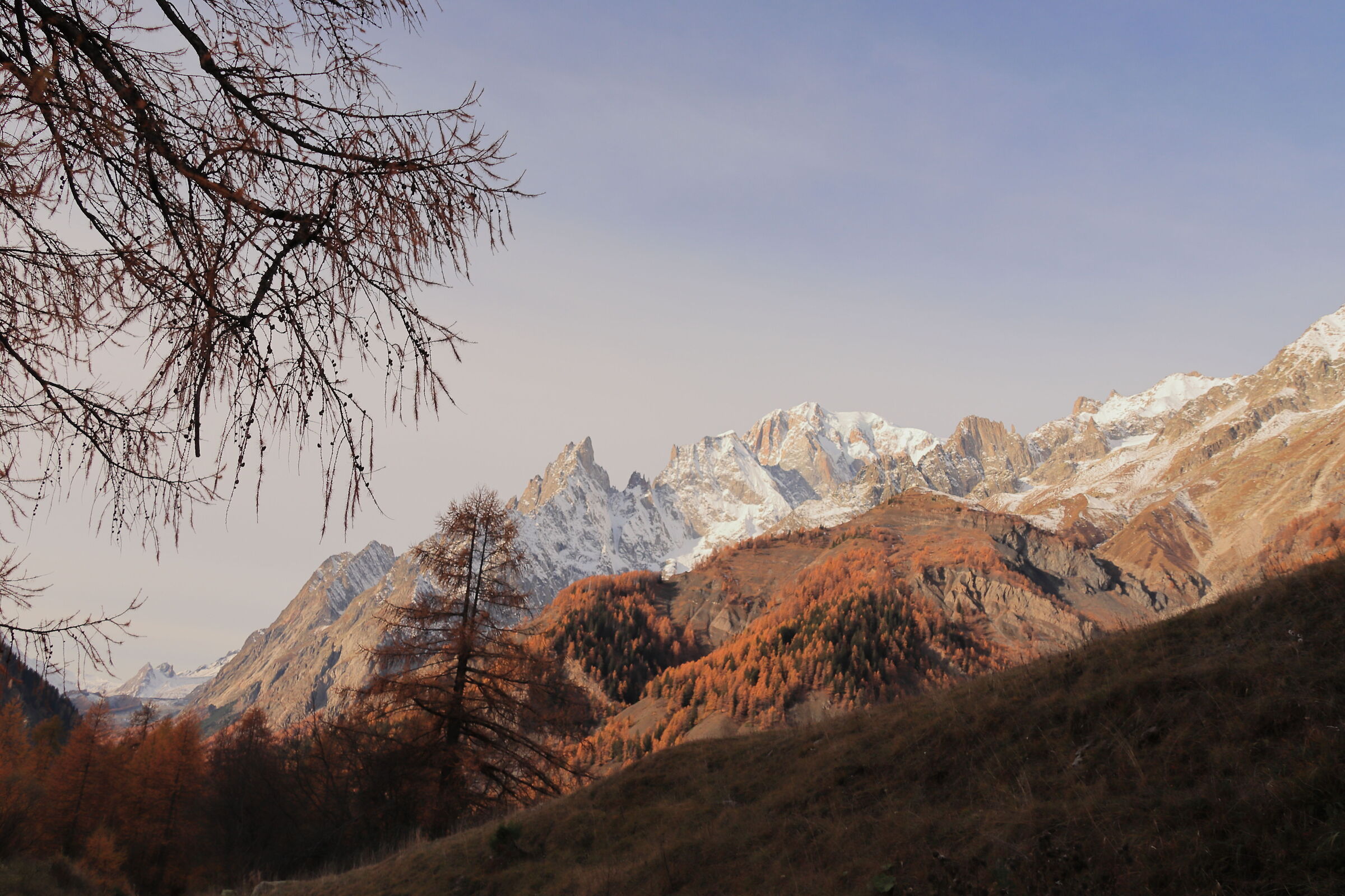 Val Ferret
