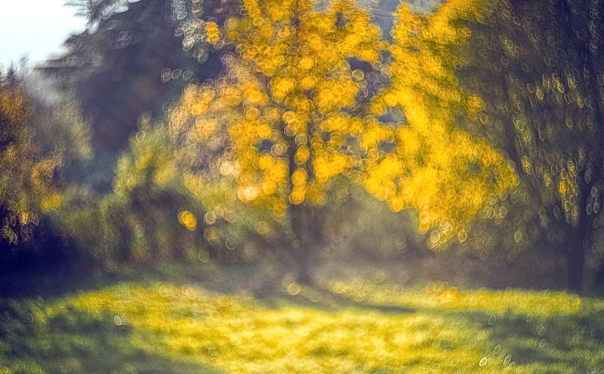 Un Autunno sfocato - A Blurry Autumn