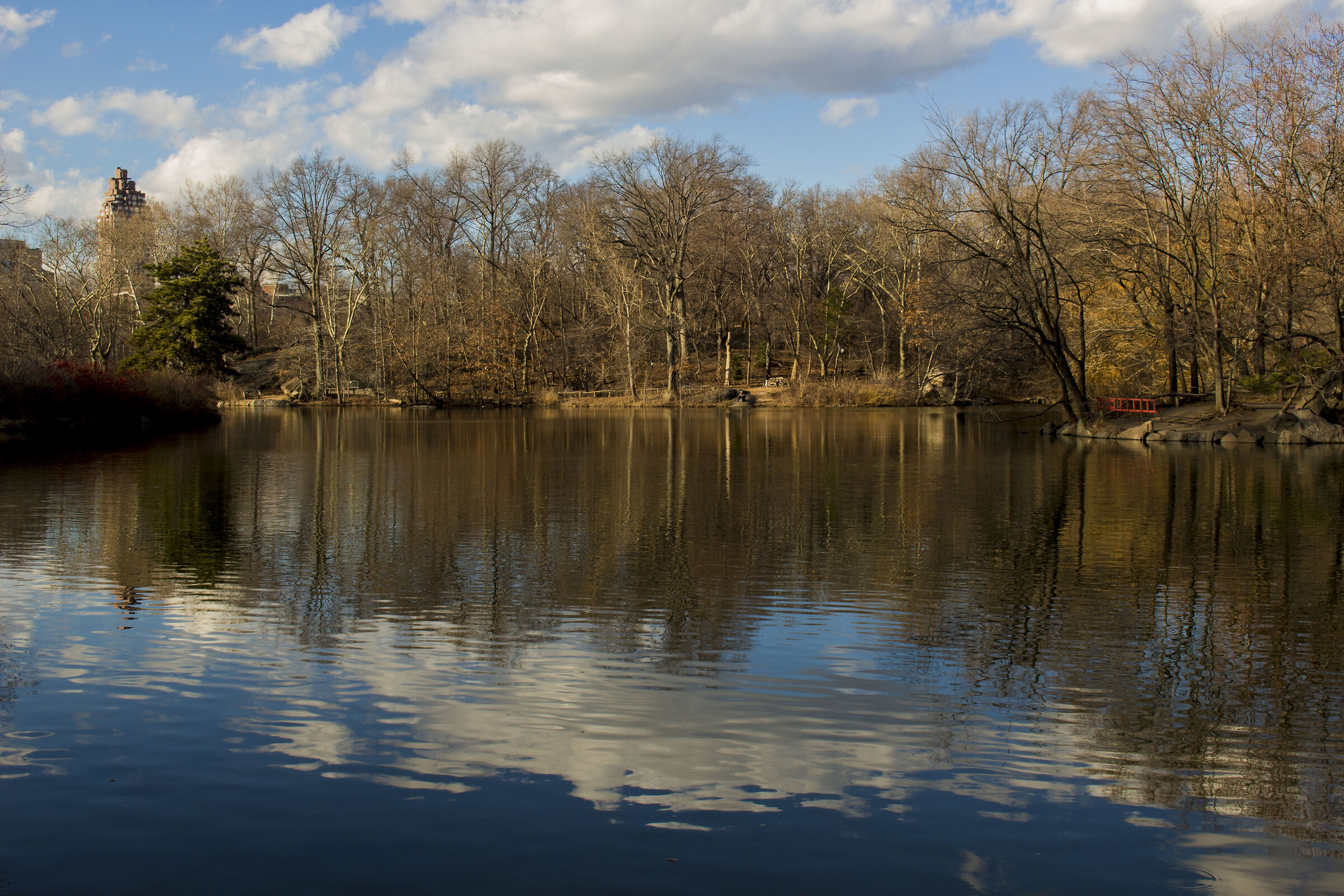 Riflessi a Central Park