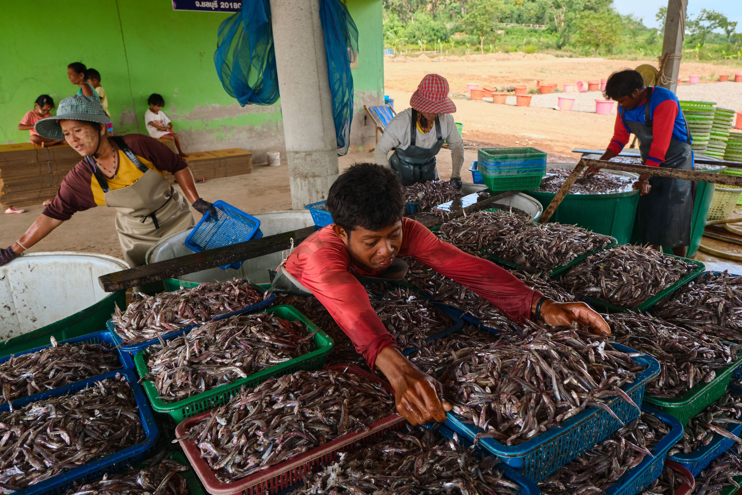 La preparazione all'essiccazione