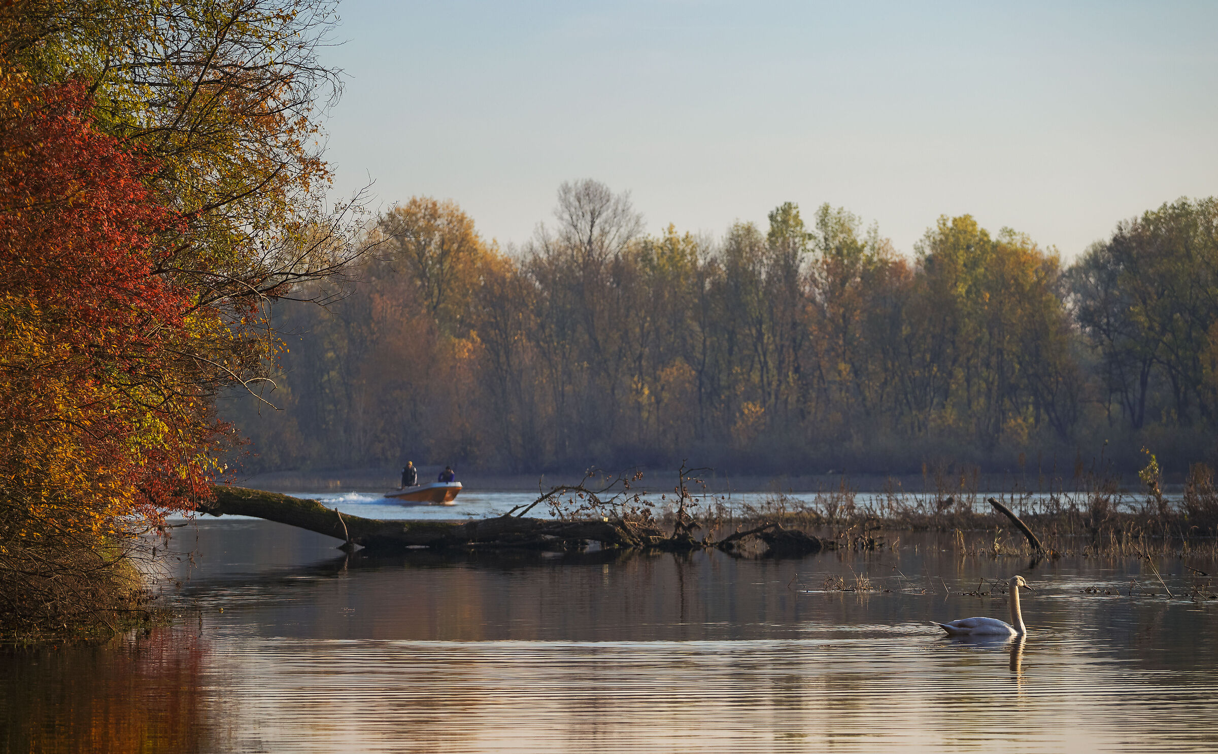la bellezza del fiume