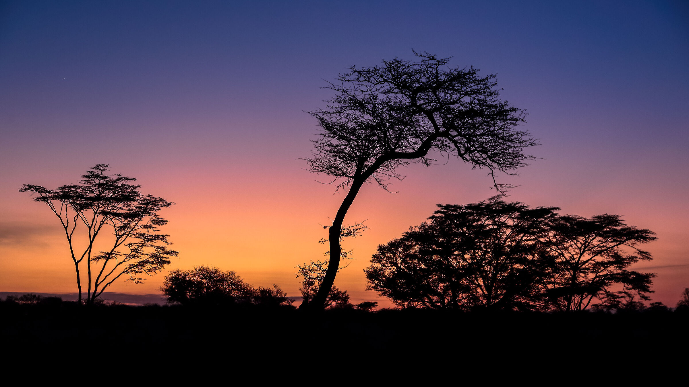 Serengeti NP