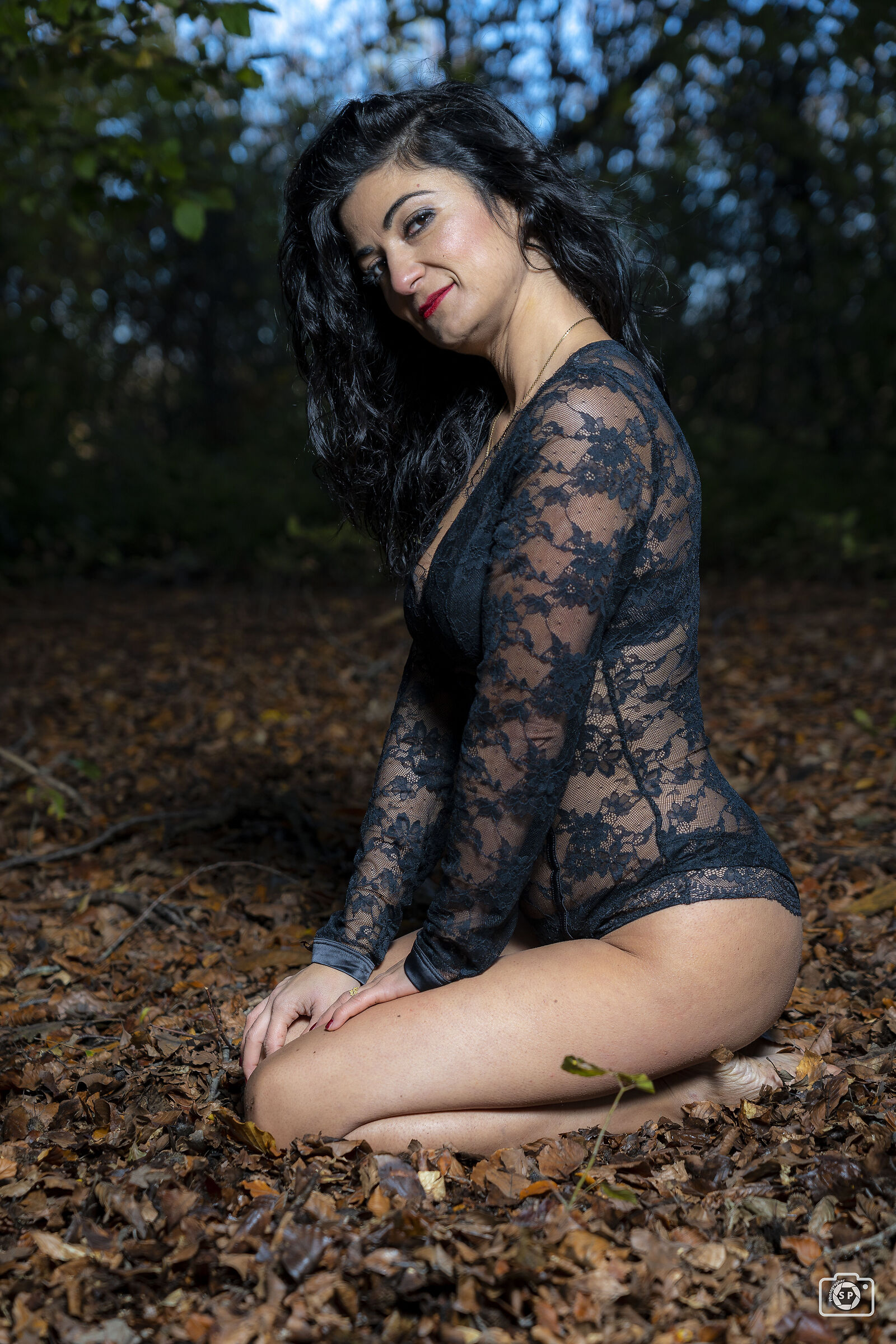 Autumn Foliage