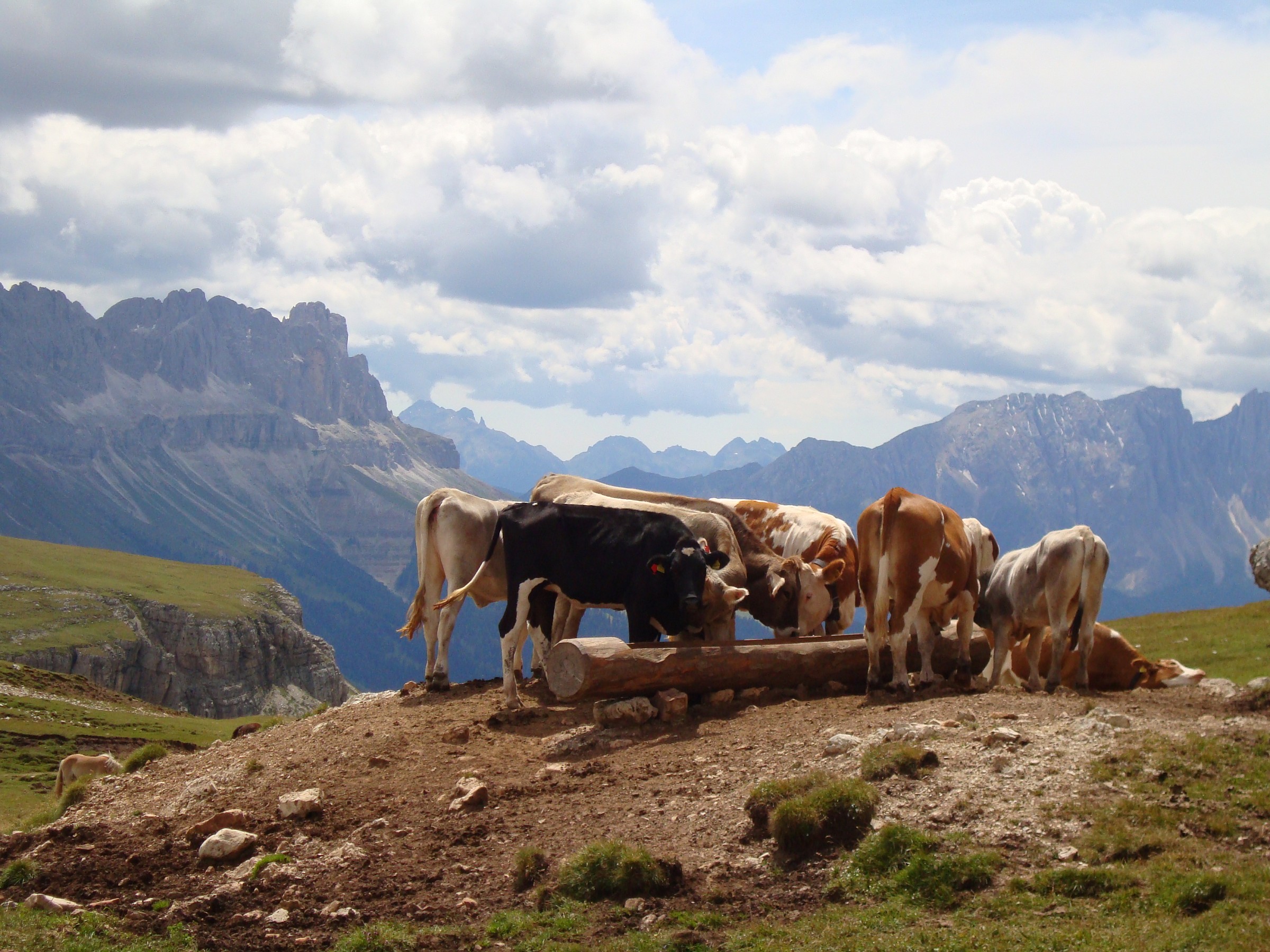 Alpi di Siusi