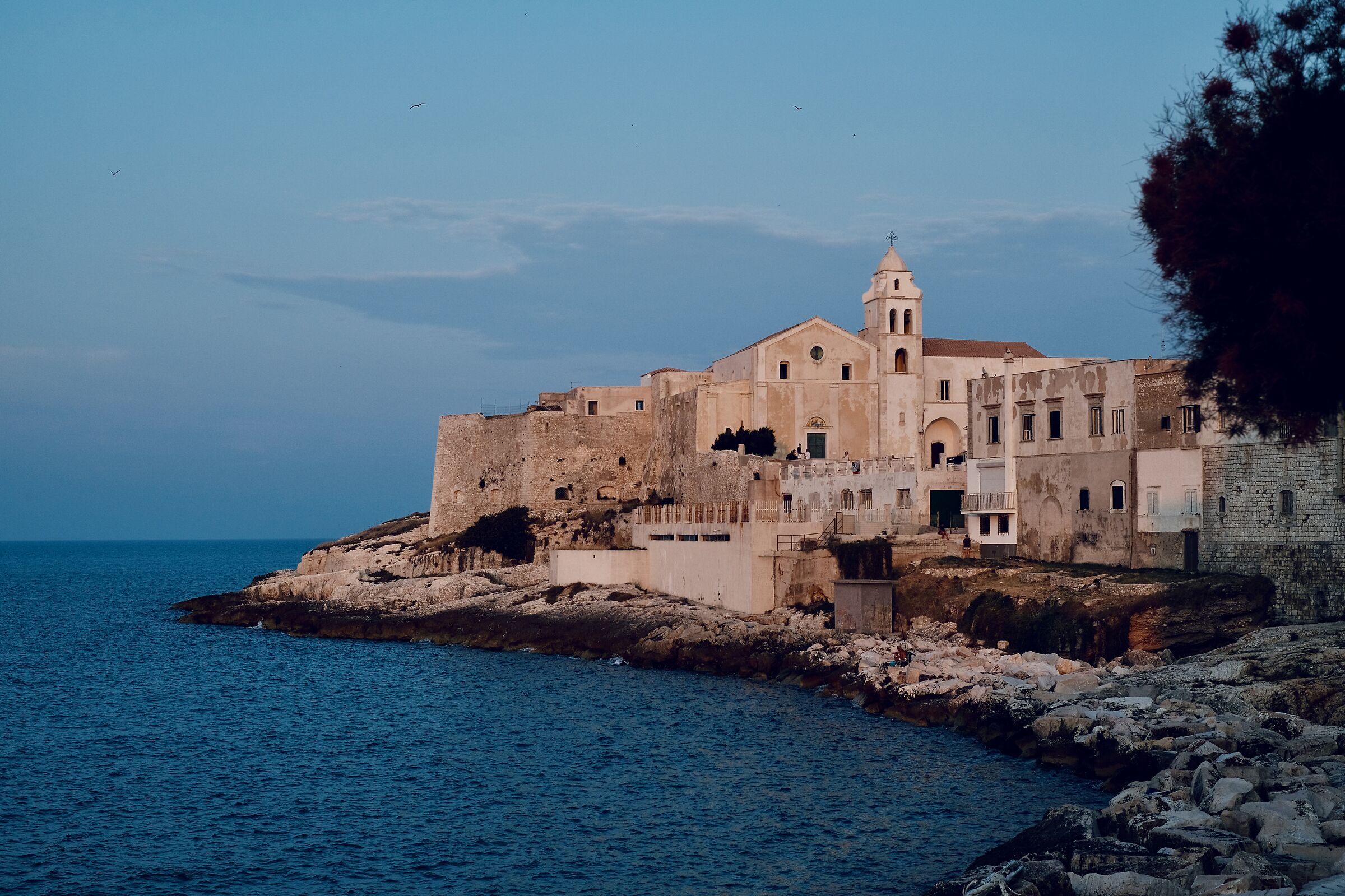 Vieste - Prima del Tramonto