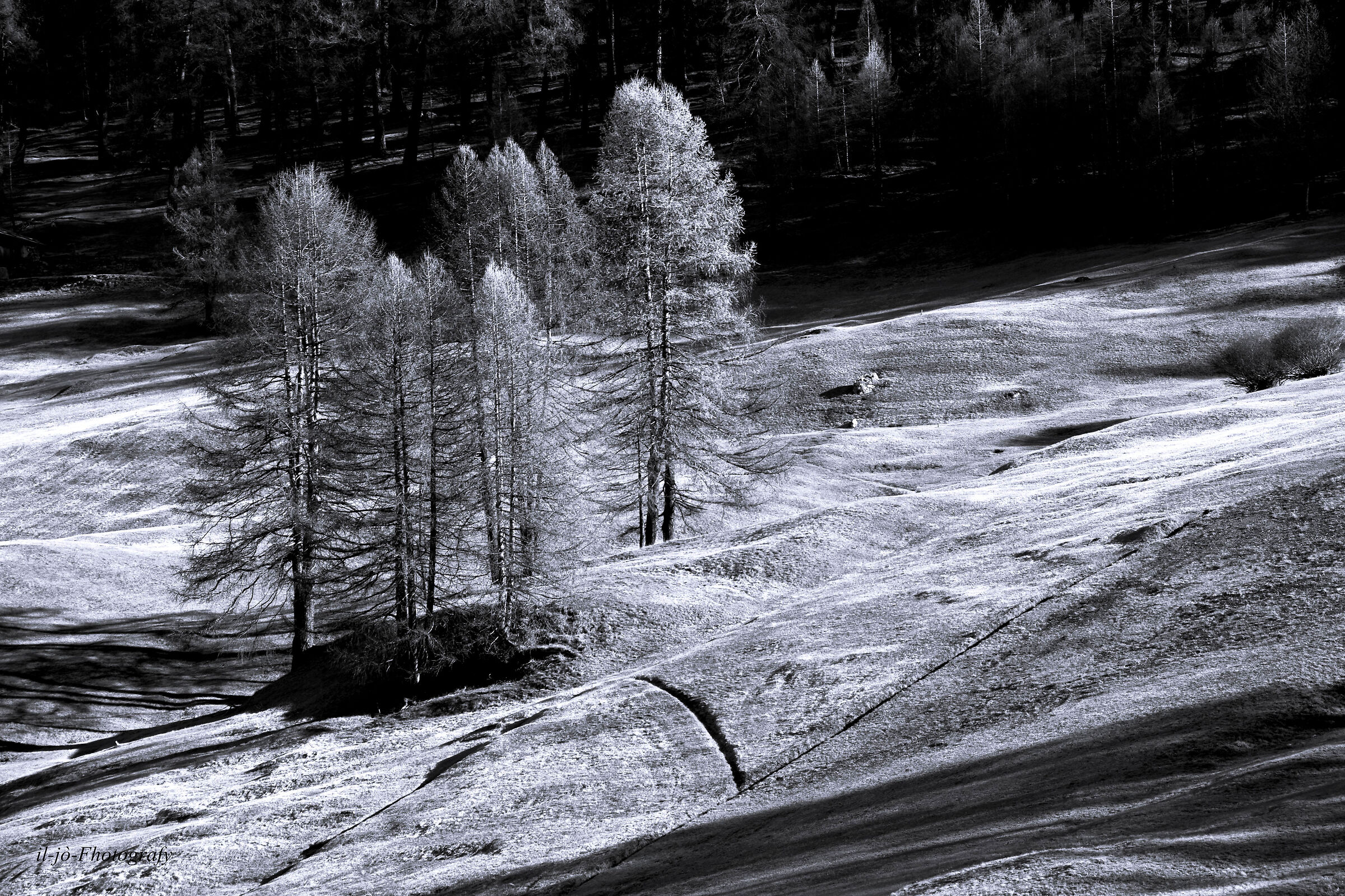 Untitled Photo