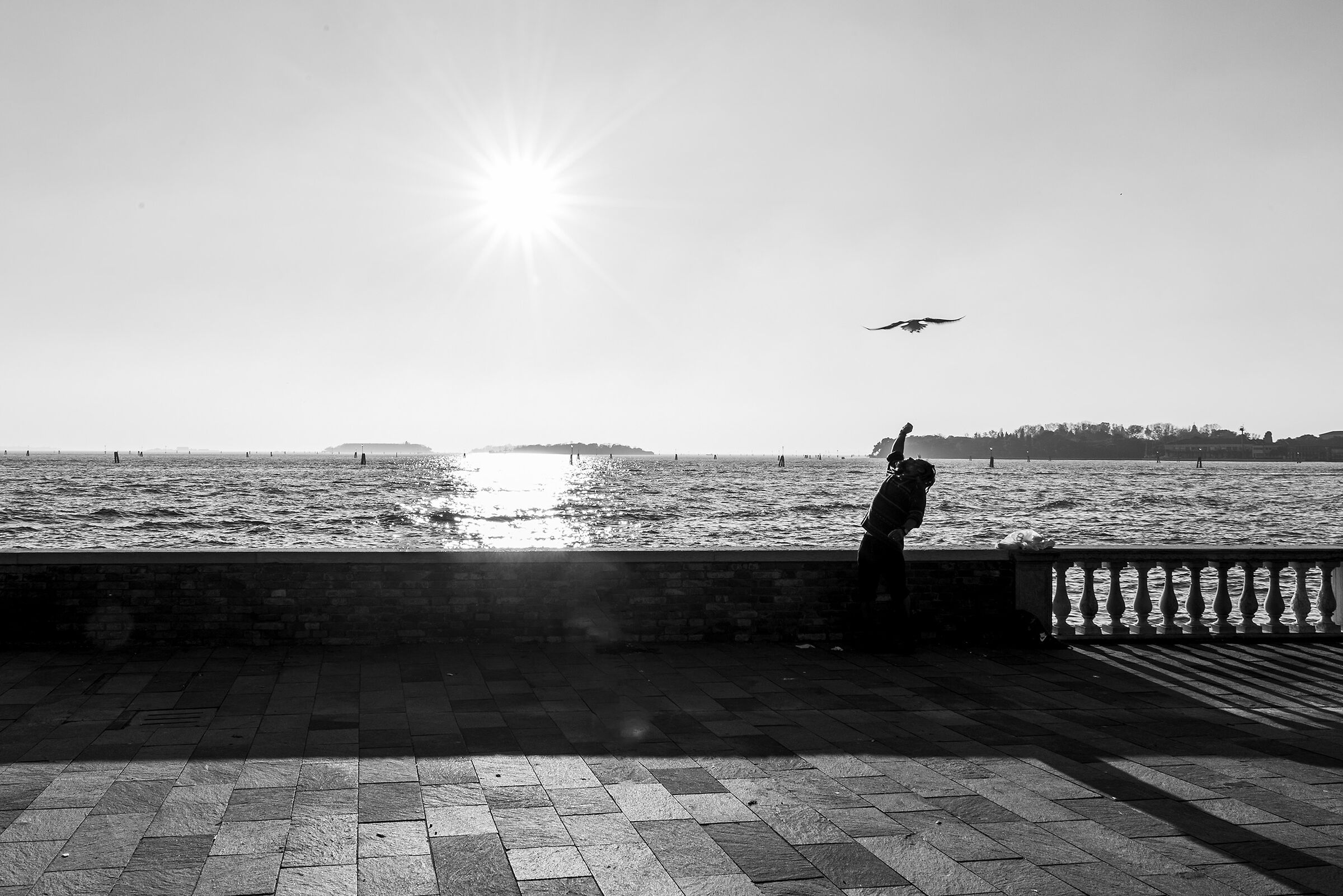 Amici a Venezia