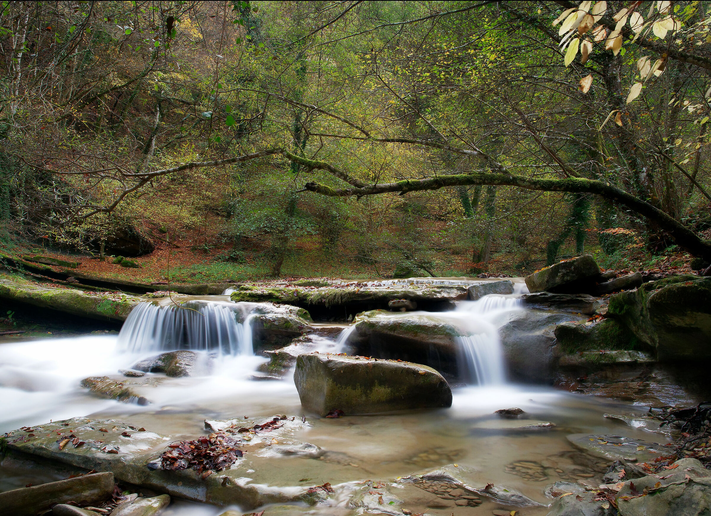 Towards Dante's waters