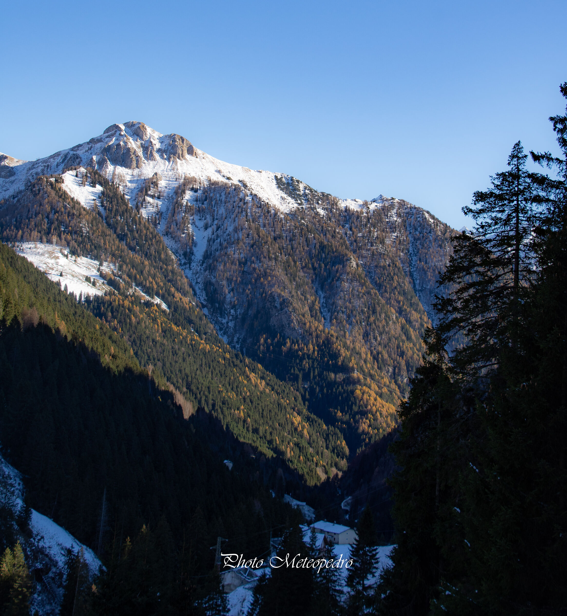 il Vescovo imbiancato