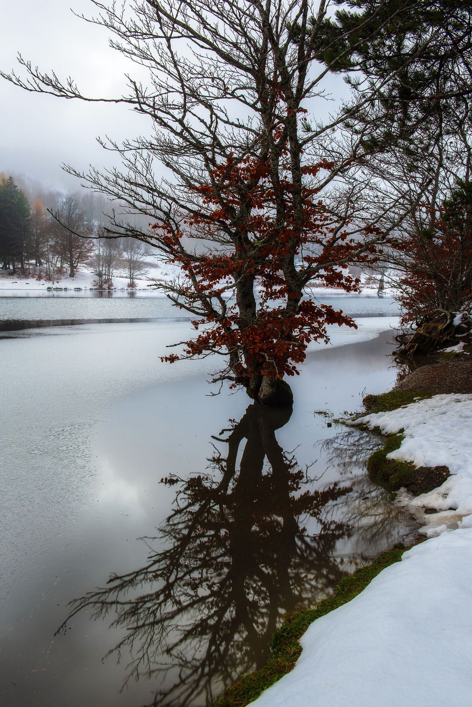 Lake Calamone
