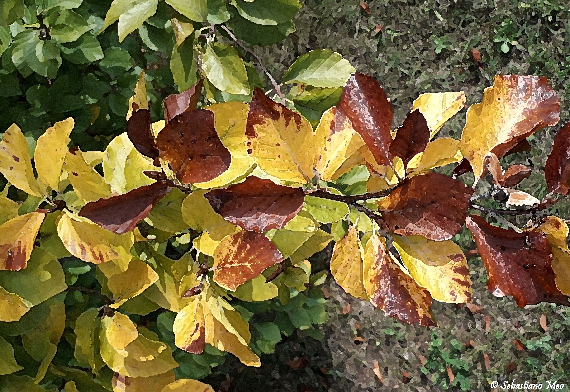 Autumn