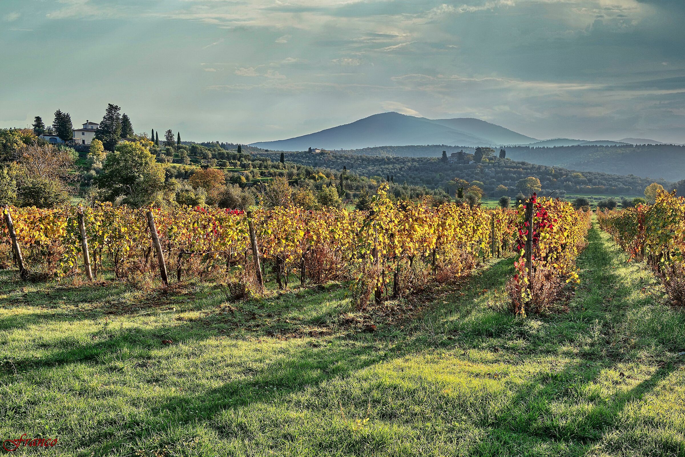 Colori di autunno - #2