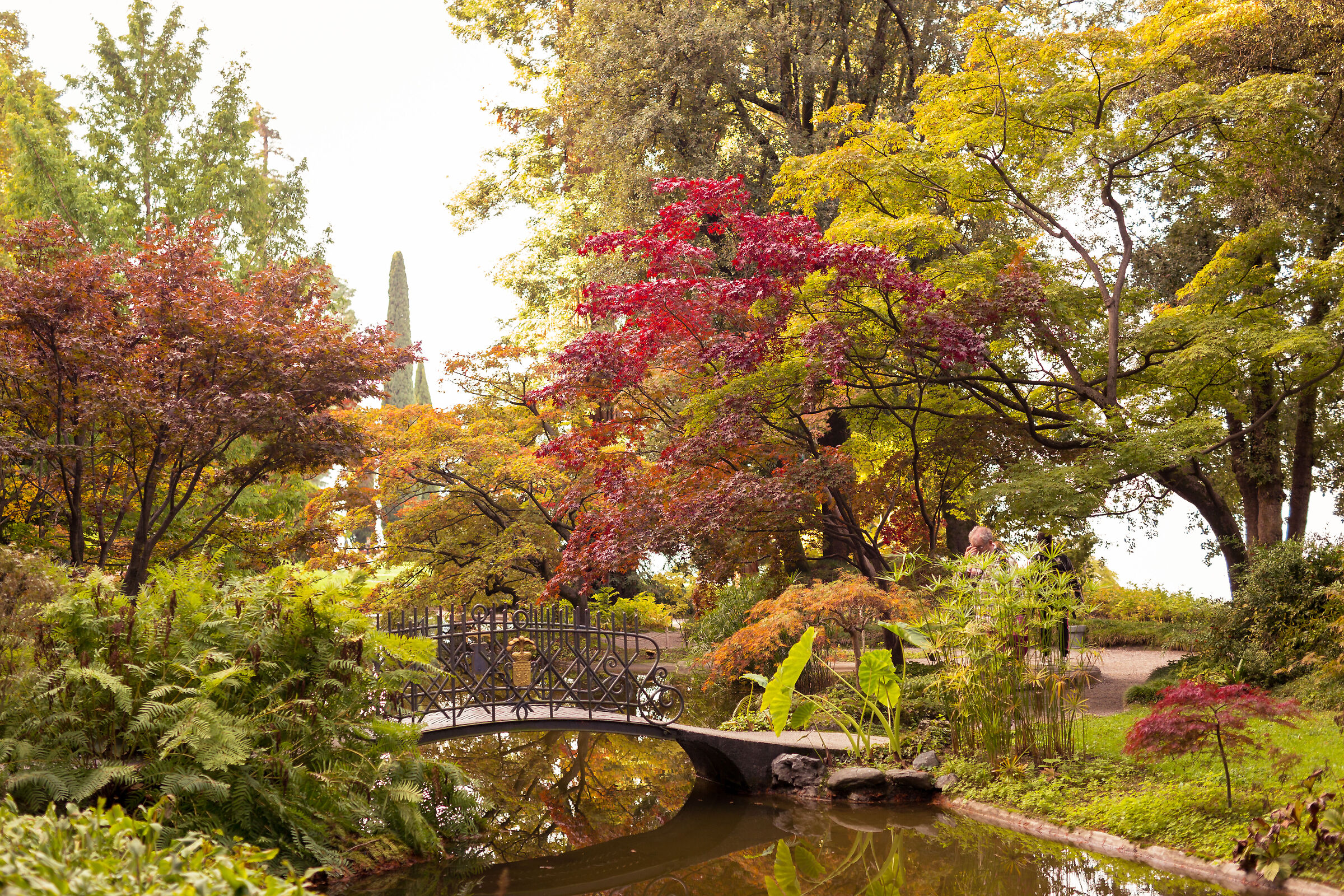 The Japanese garden of Villa Melzi