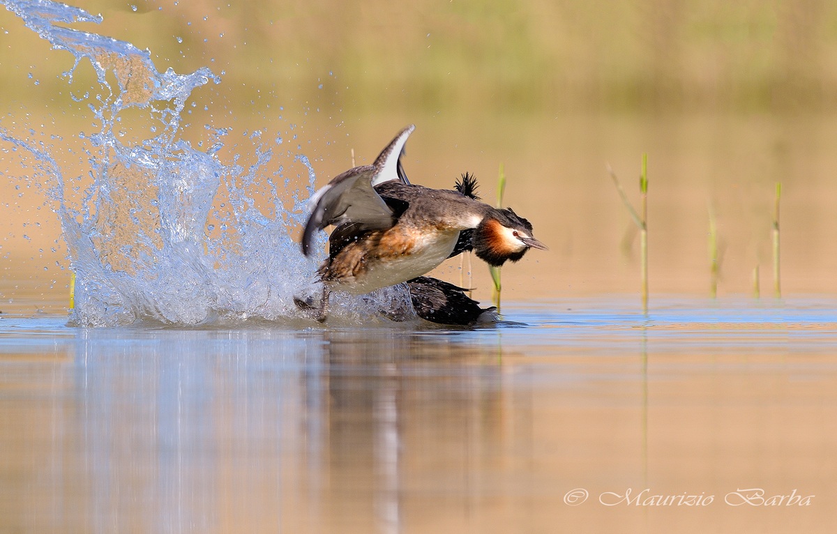 I've broken the boxes I'm going