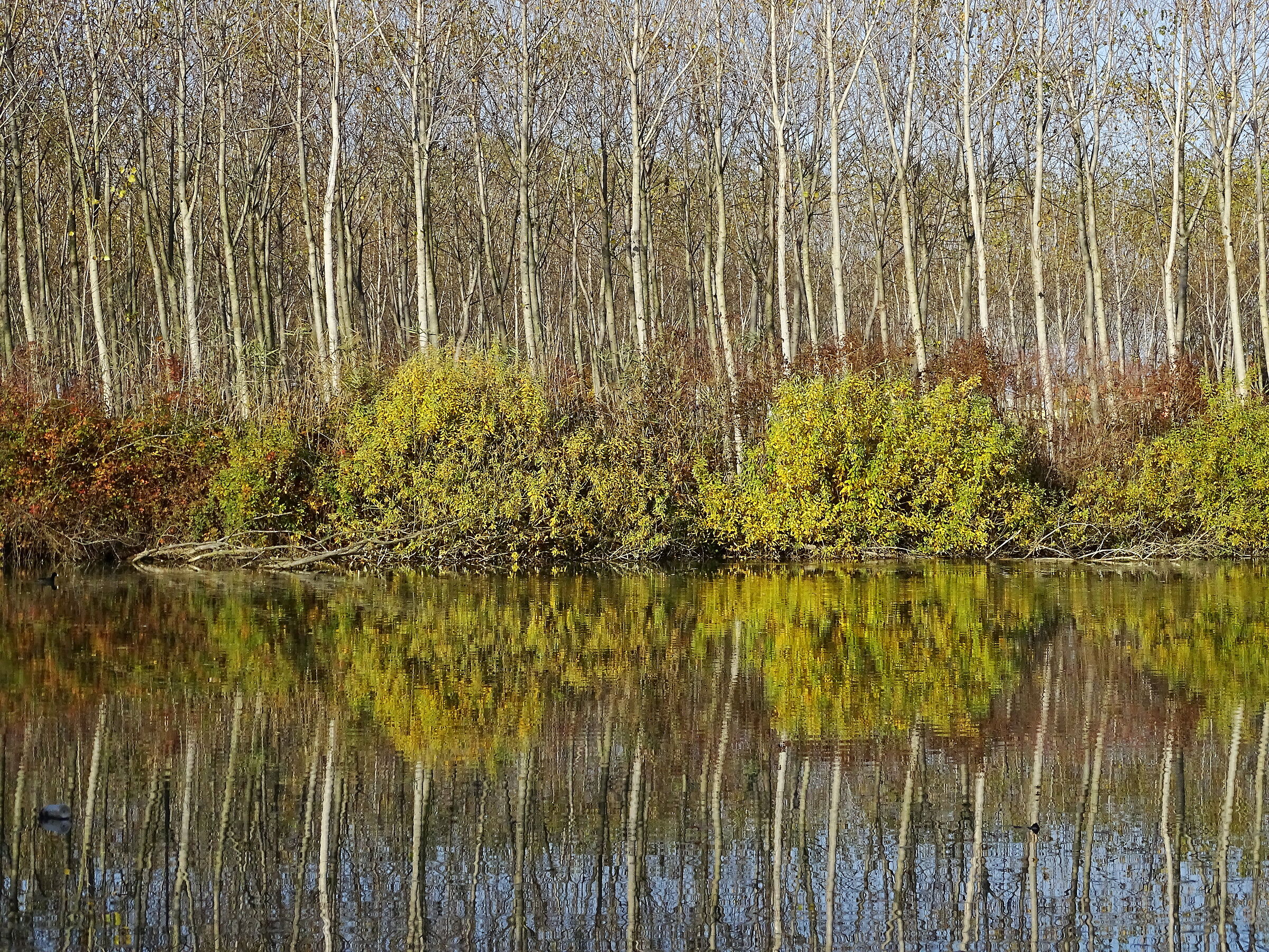 Sile Park