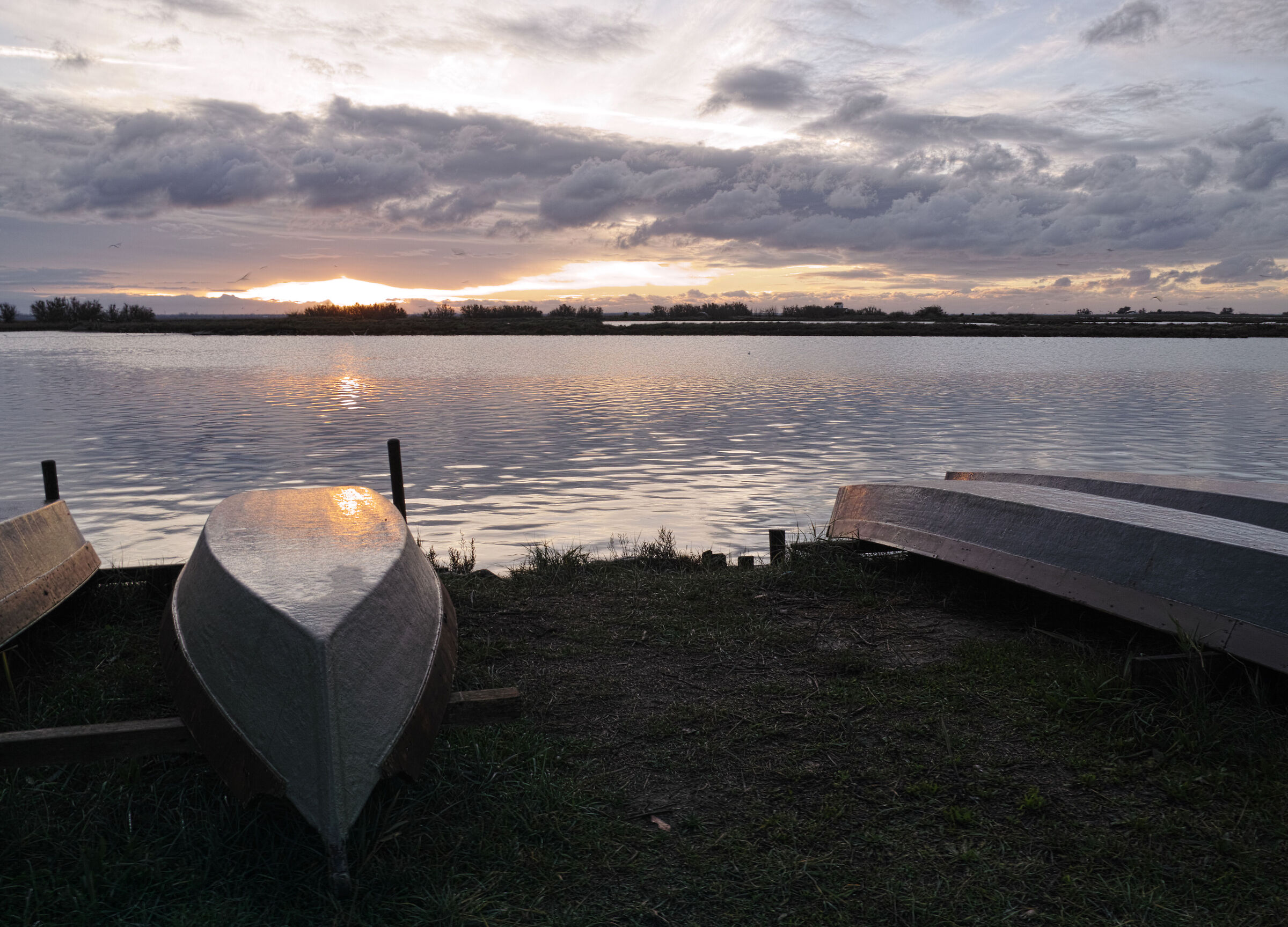 Brackish glow