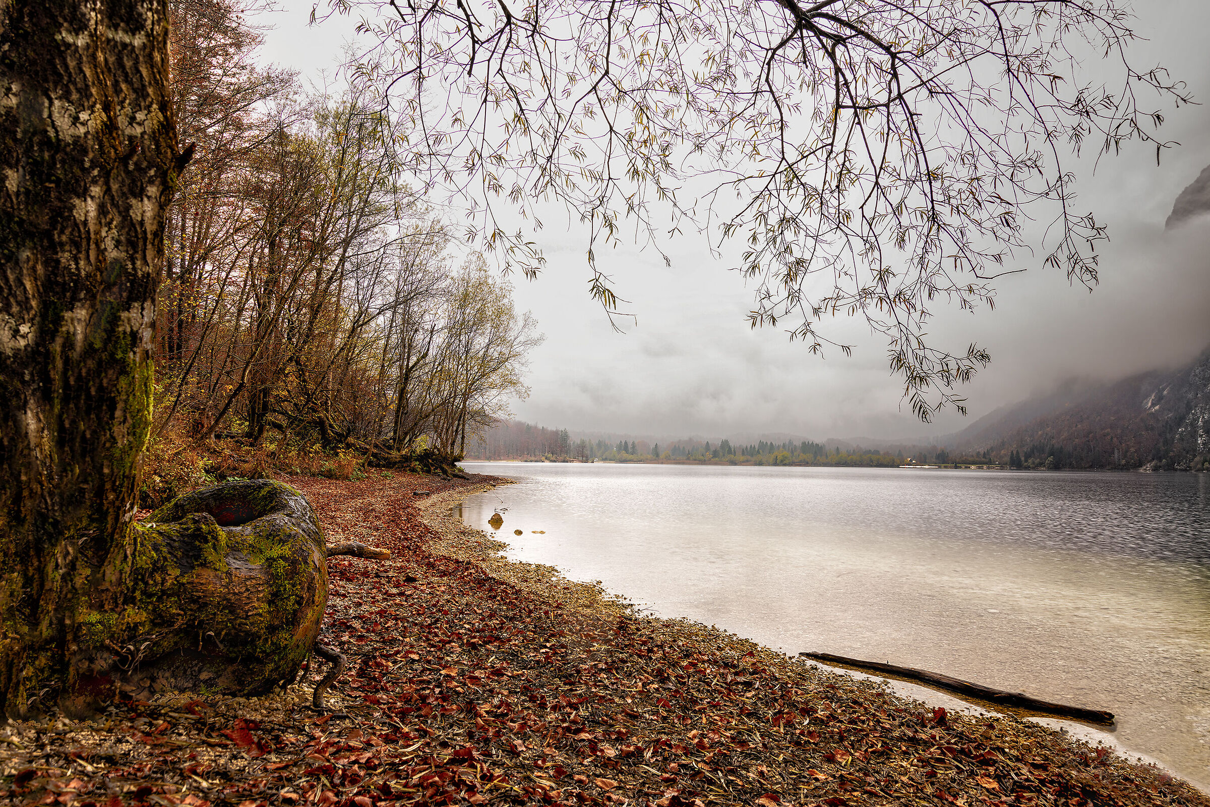 A cradle on Lake Bohinj