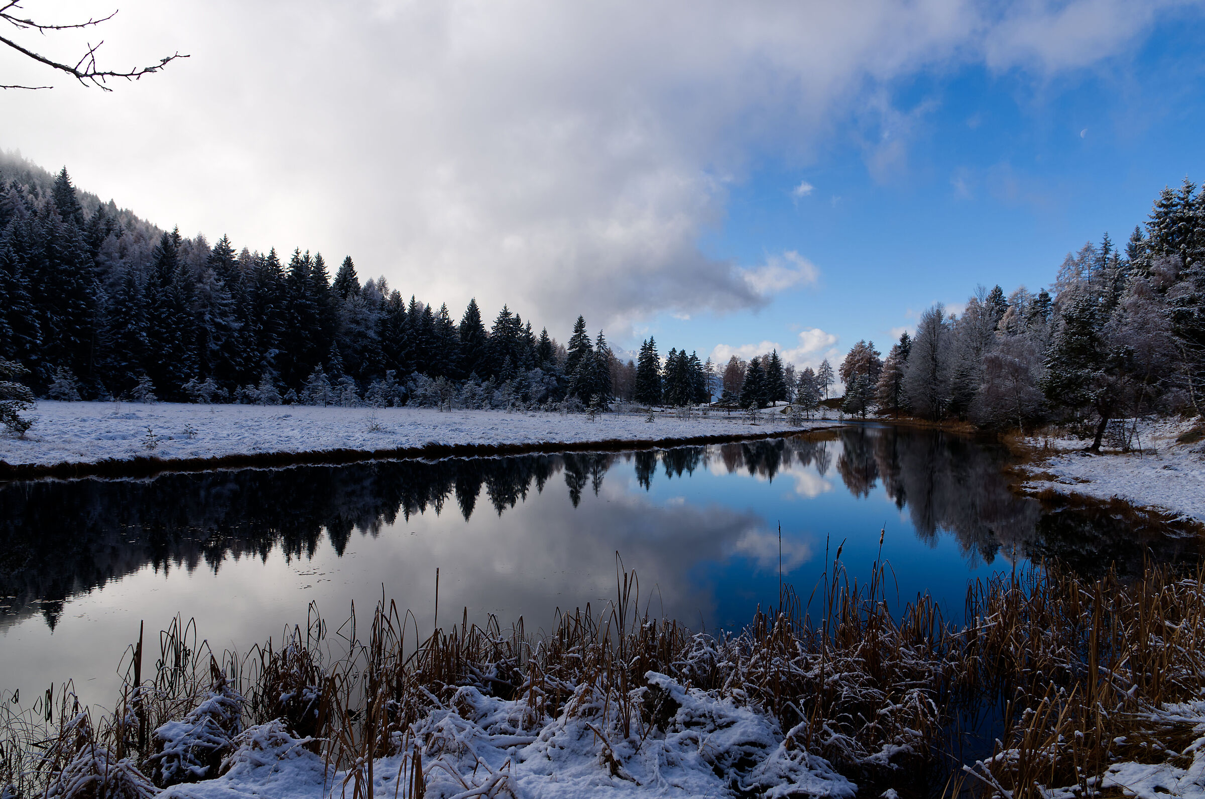 Pian di Gembro, stagno