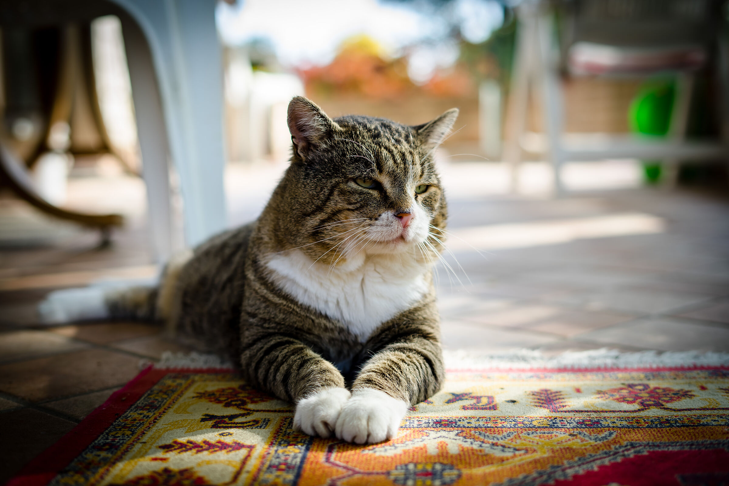 biagio ha sempre fame