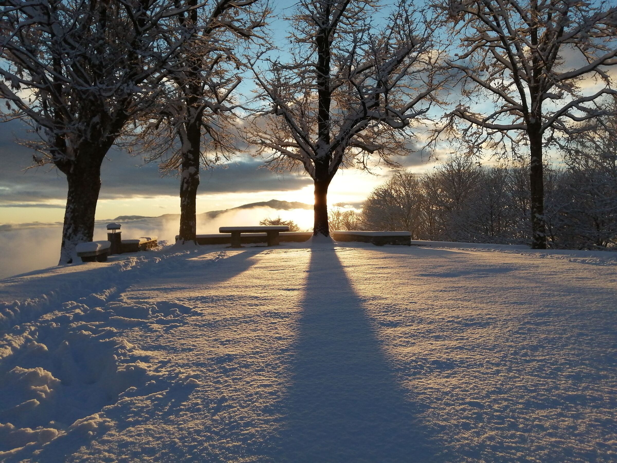 Untitled Photo