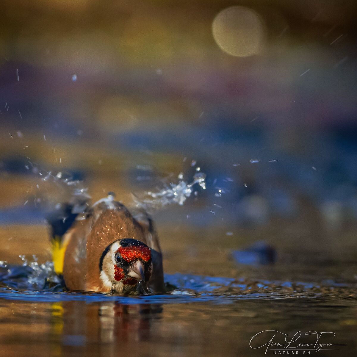 bagno colorato | colorful bath