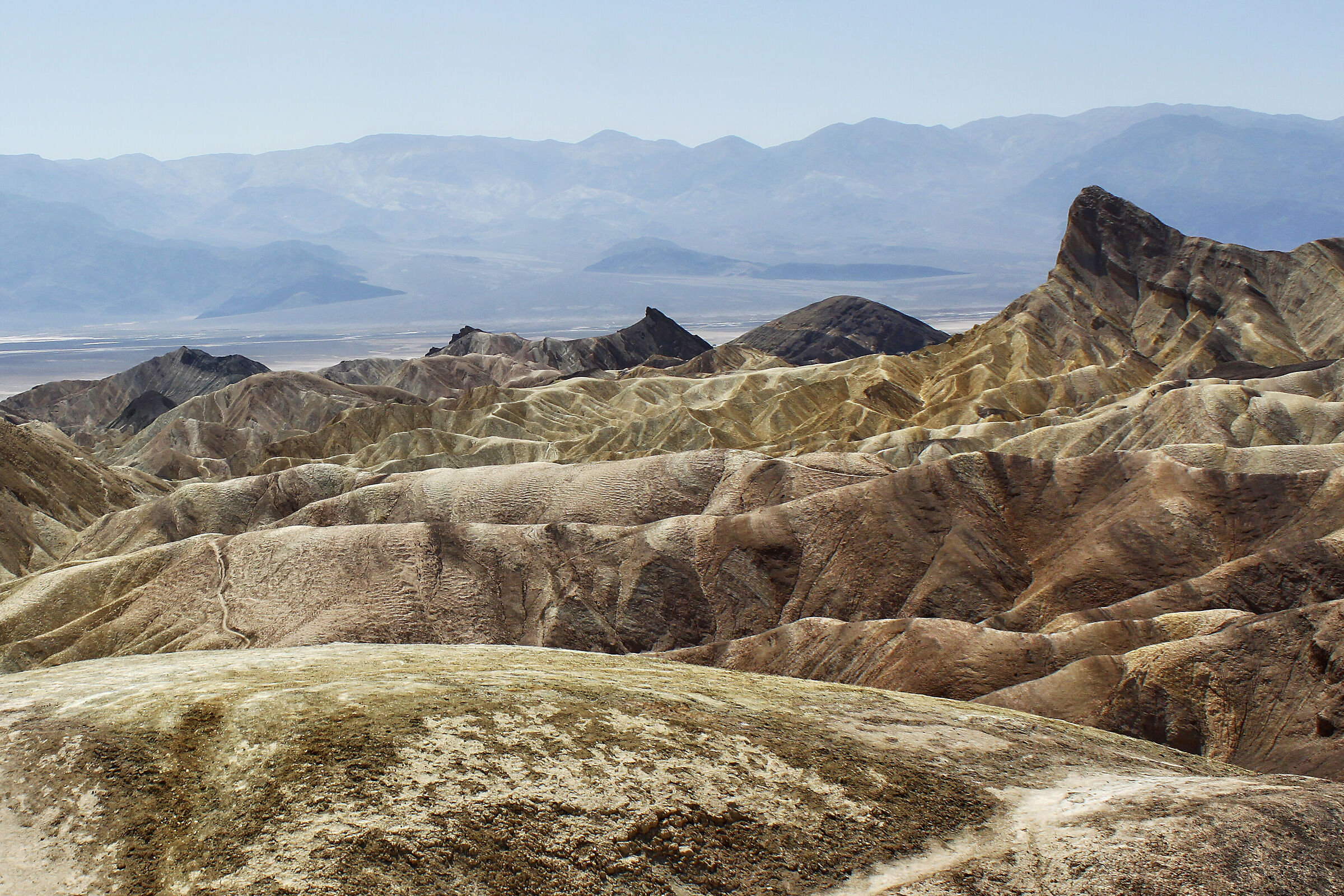 The Death Valley Show