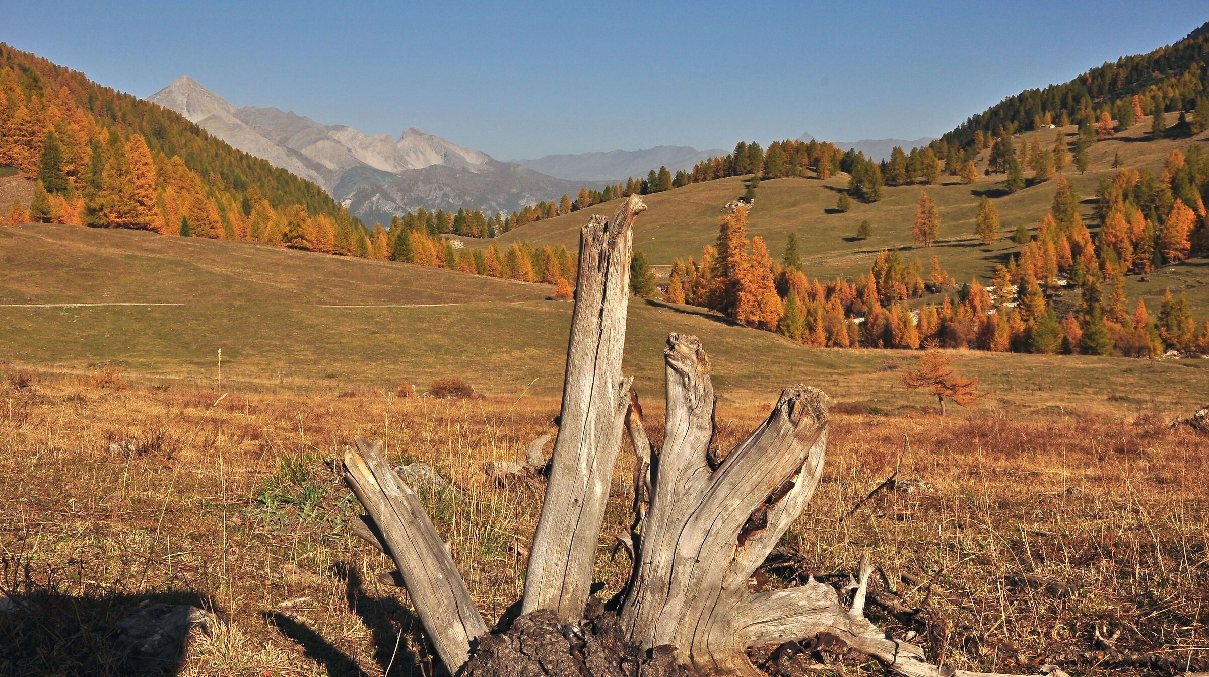 Il  Monte  Chaberton visto  dalla  Val  Thuras
