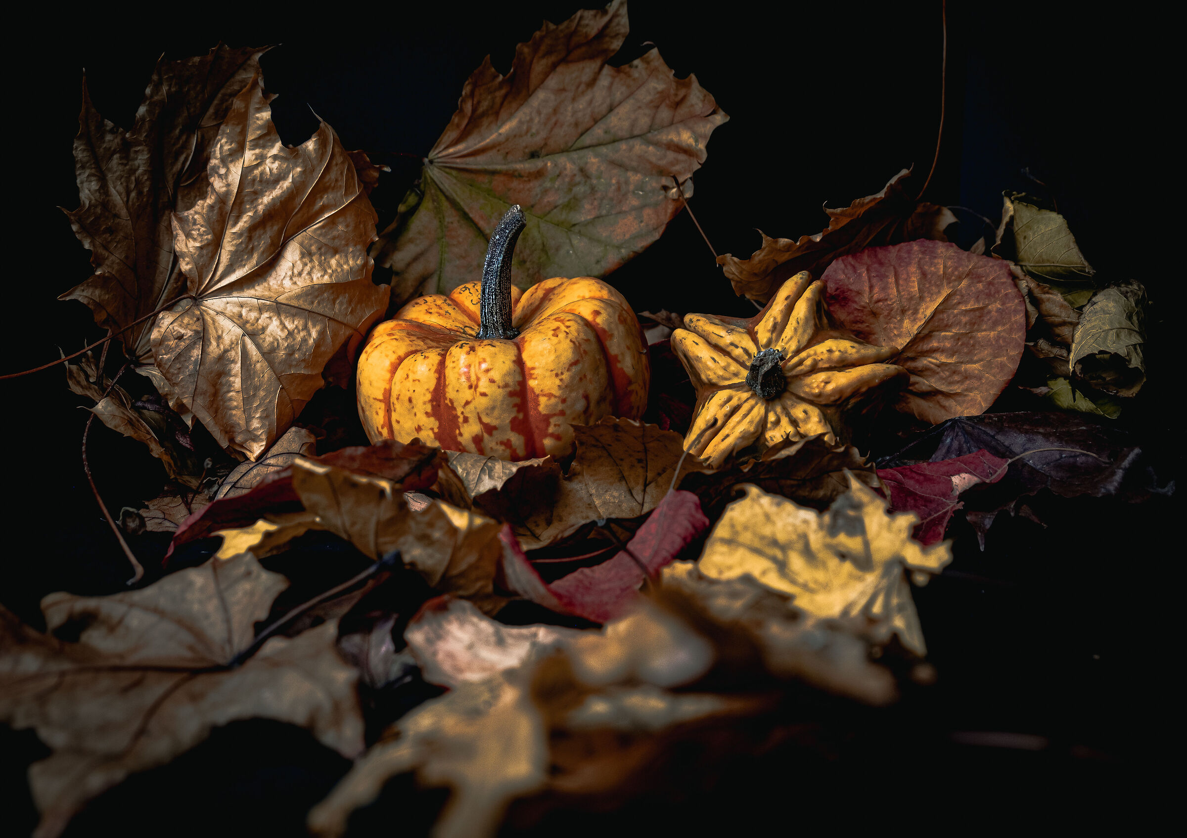 In autumn