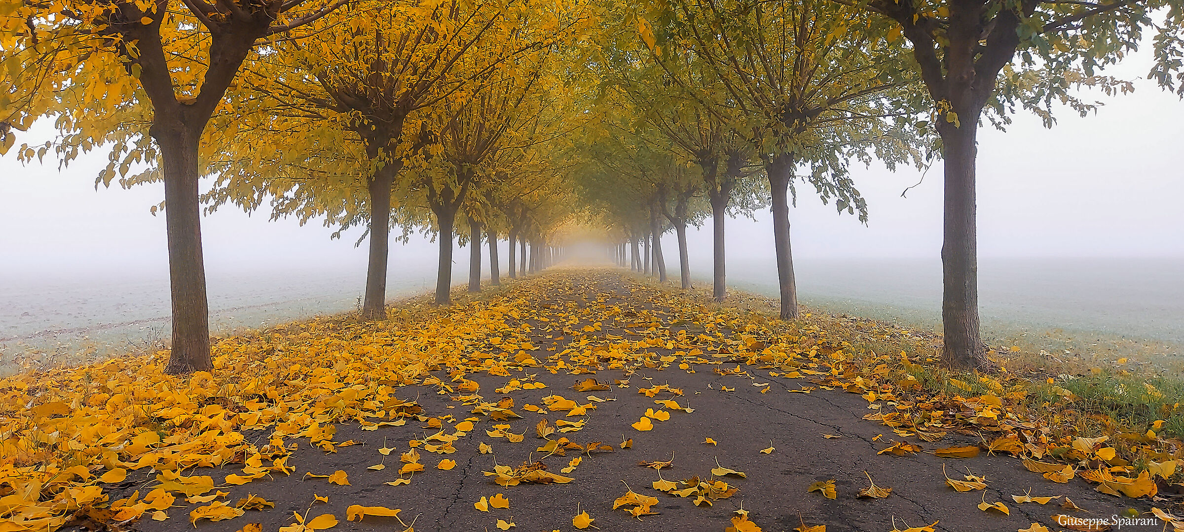 A look into the unknown