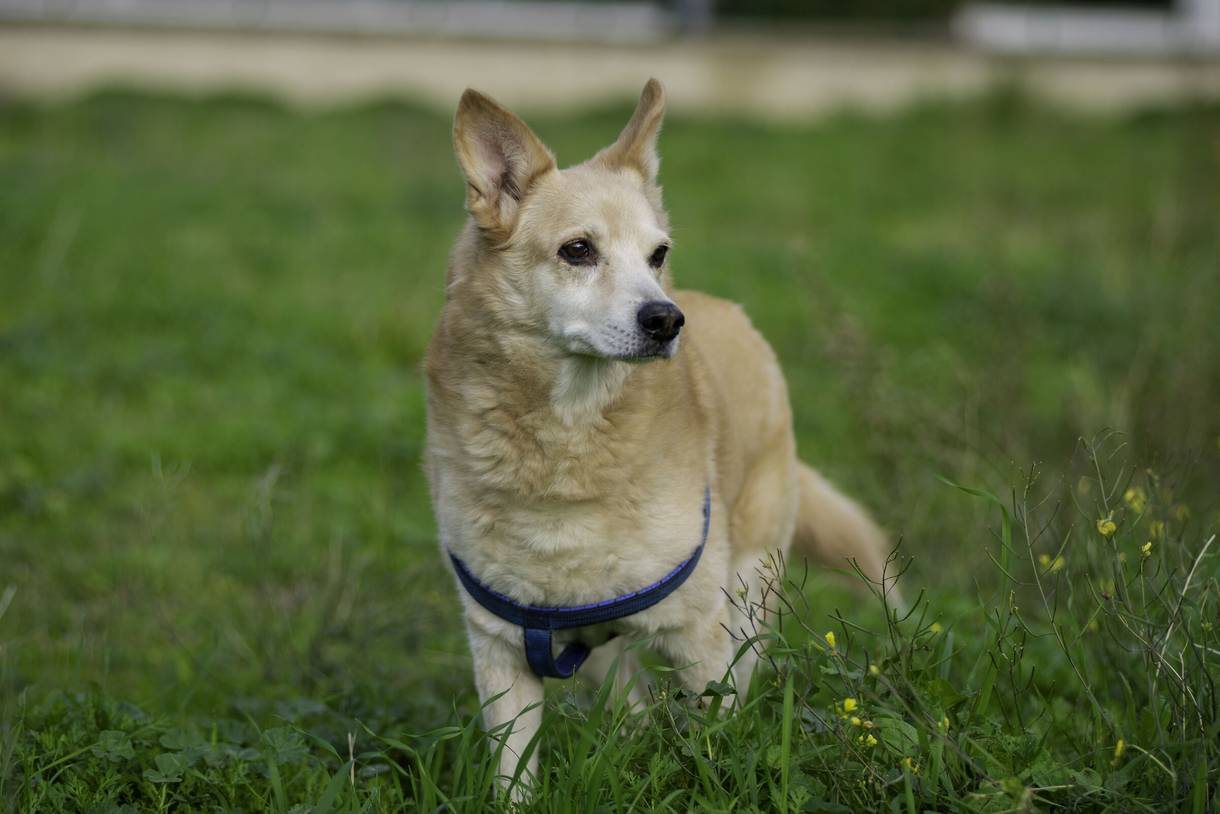 Le passeggiate più belle