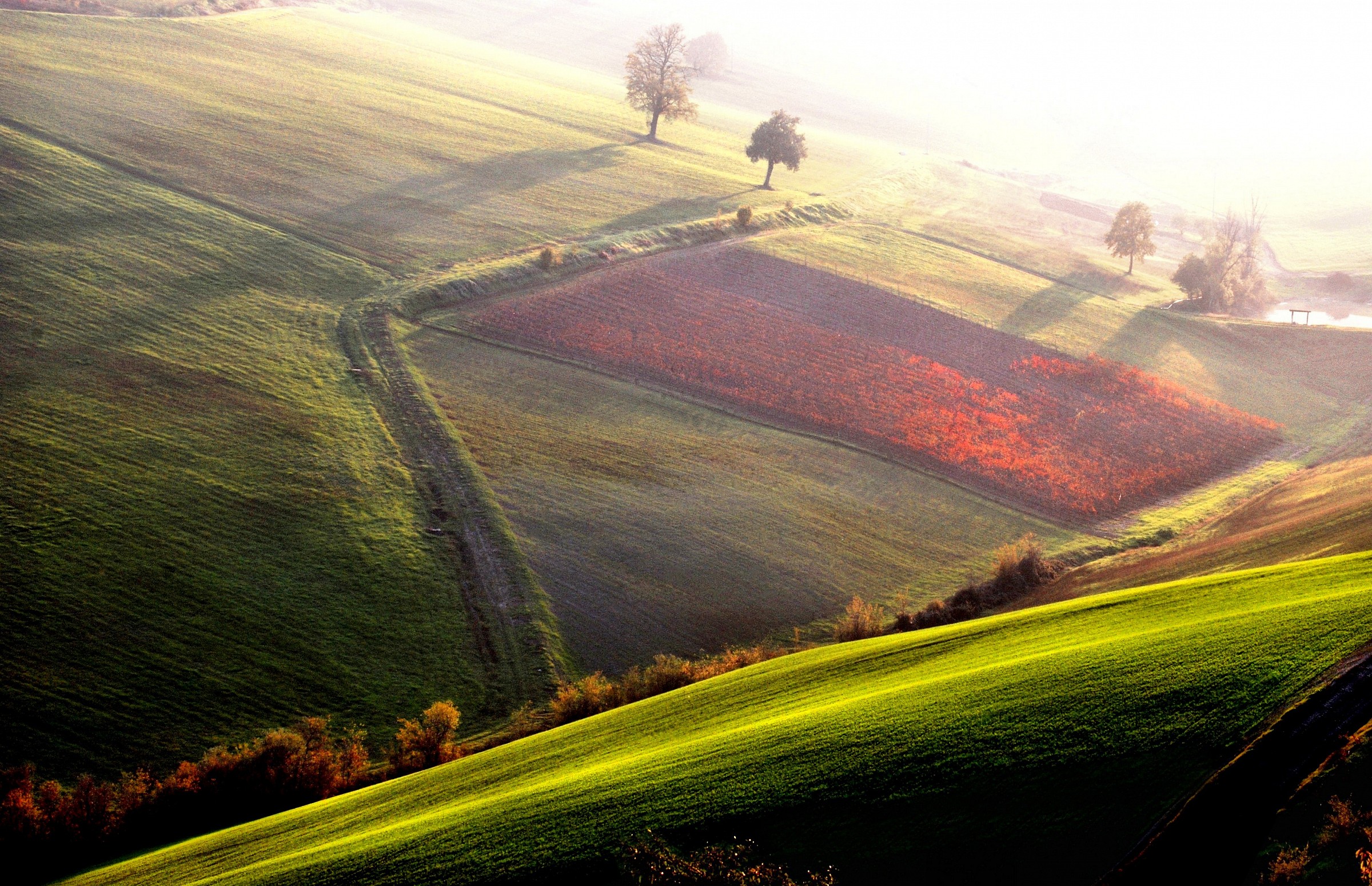 Castelvetro ultima luce