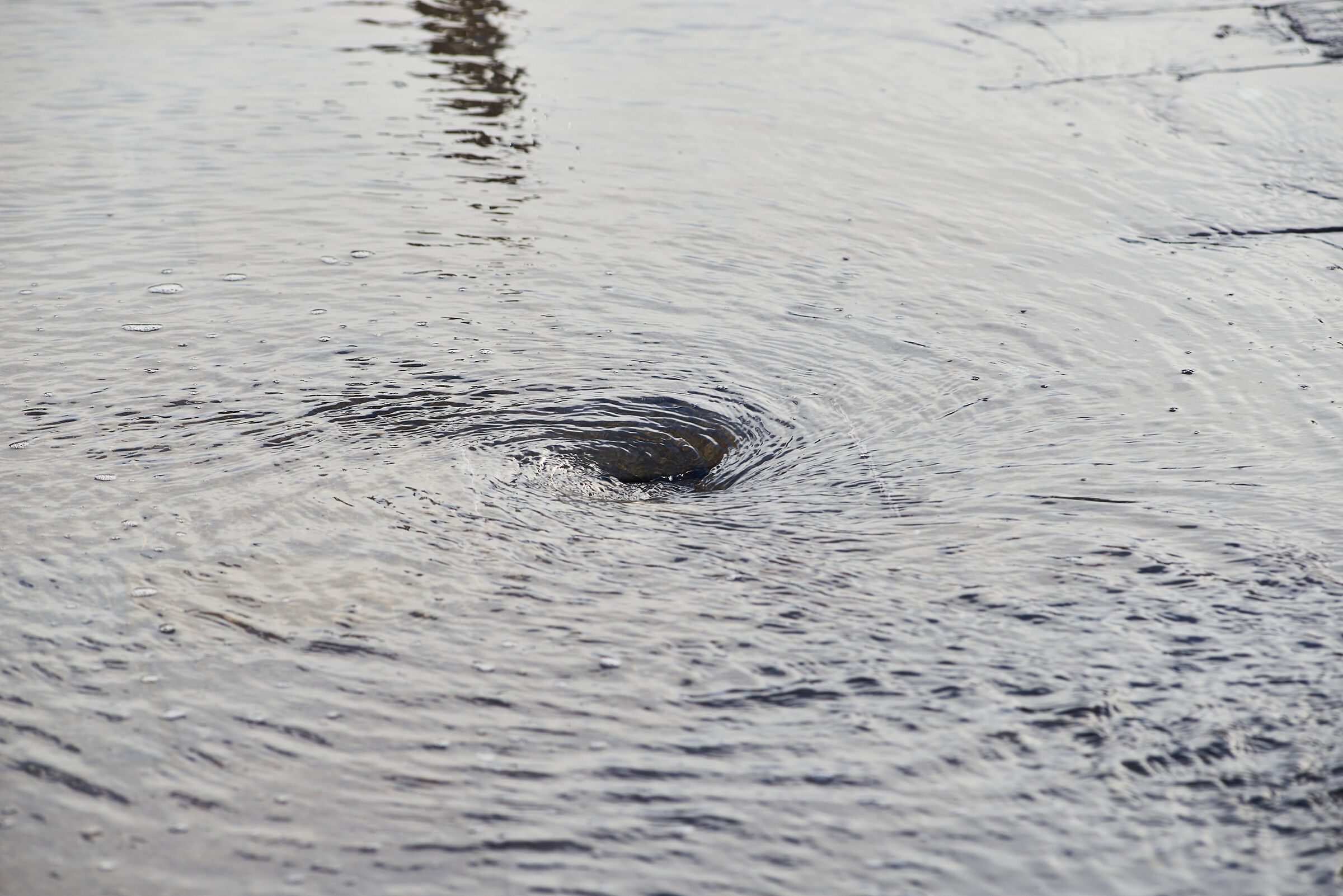 High water in Venice
