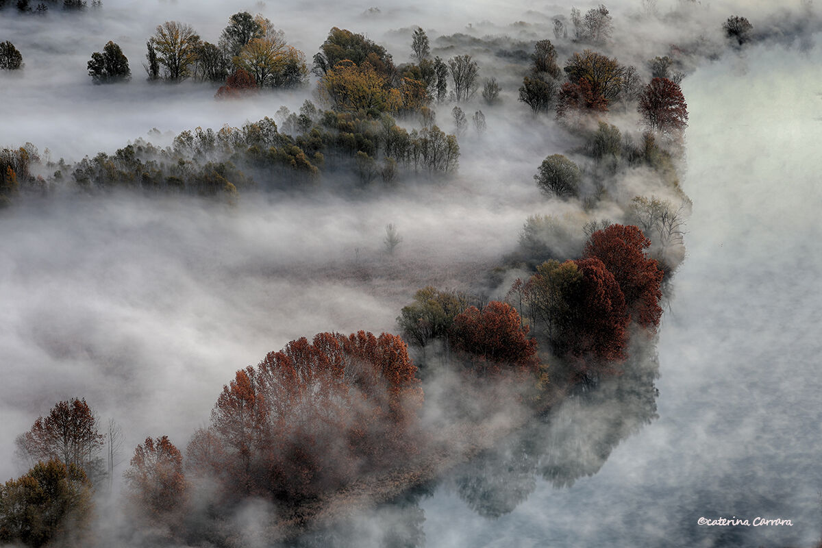 The embrace of the fog waiting for the sun.