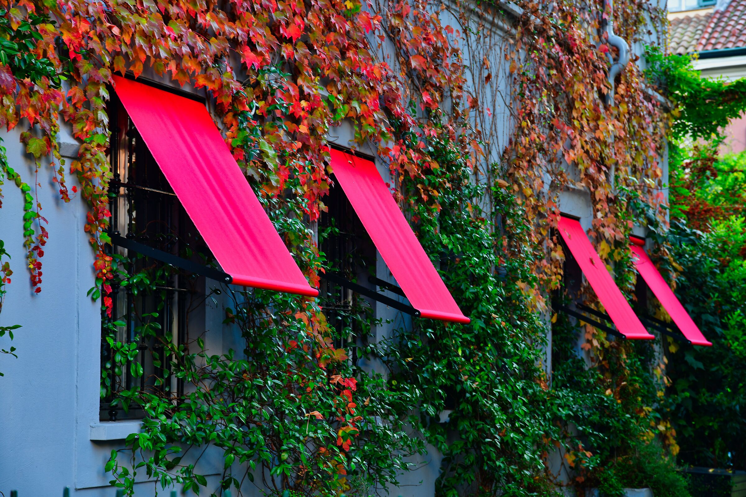 Milan rainbow district