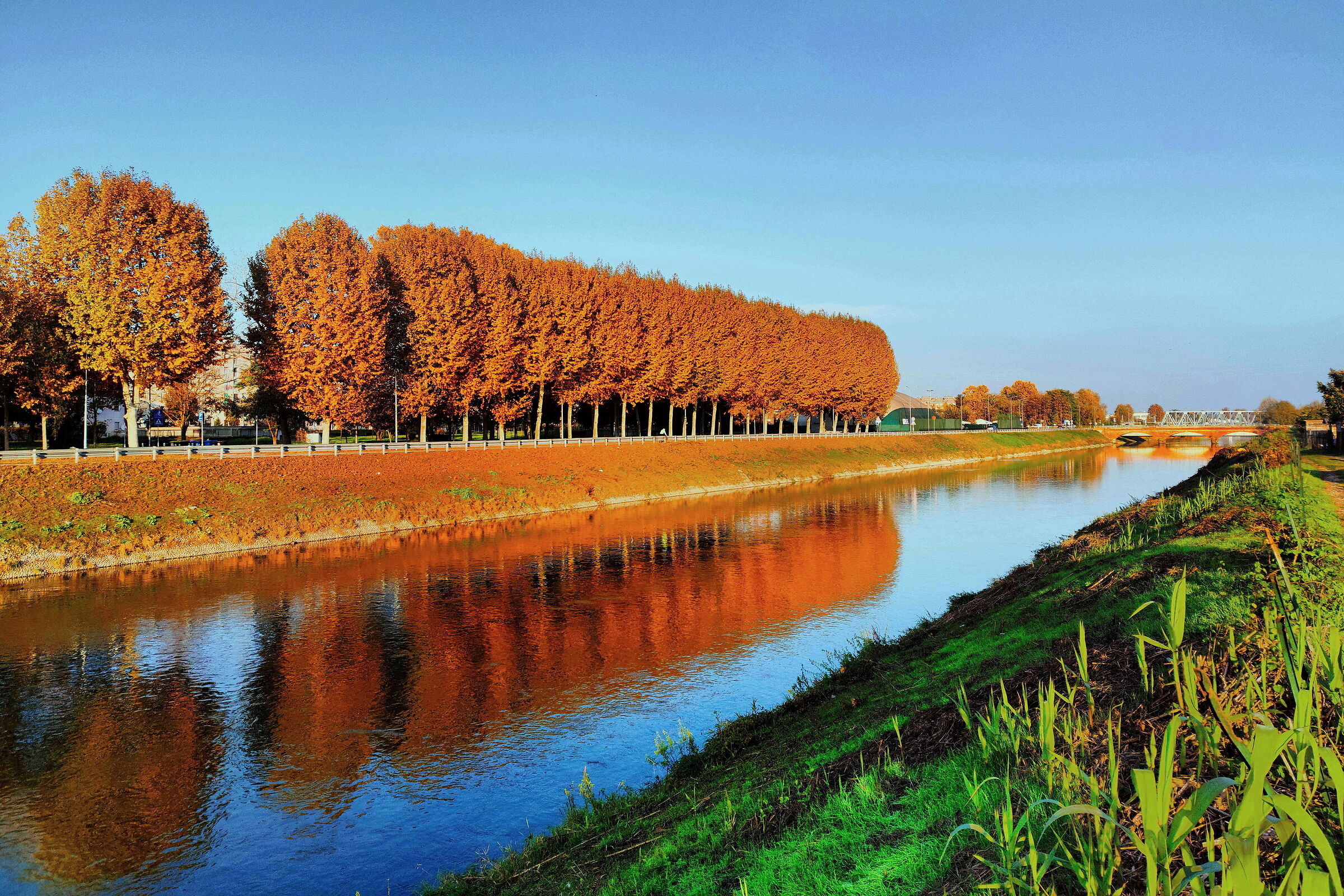 Hello autumn, hello autumn hello