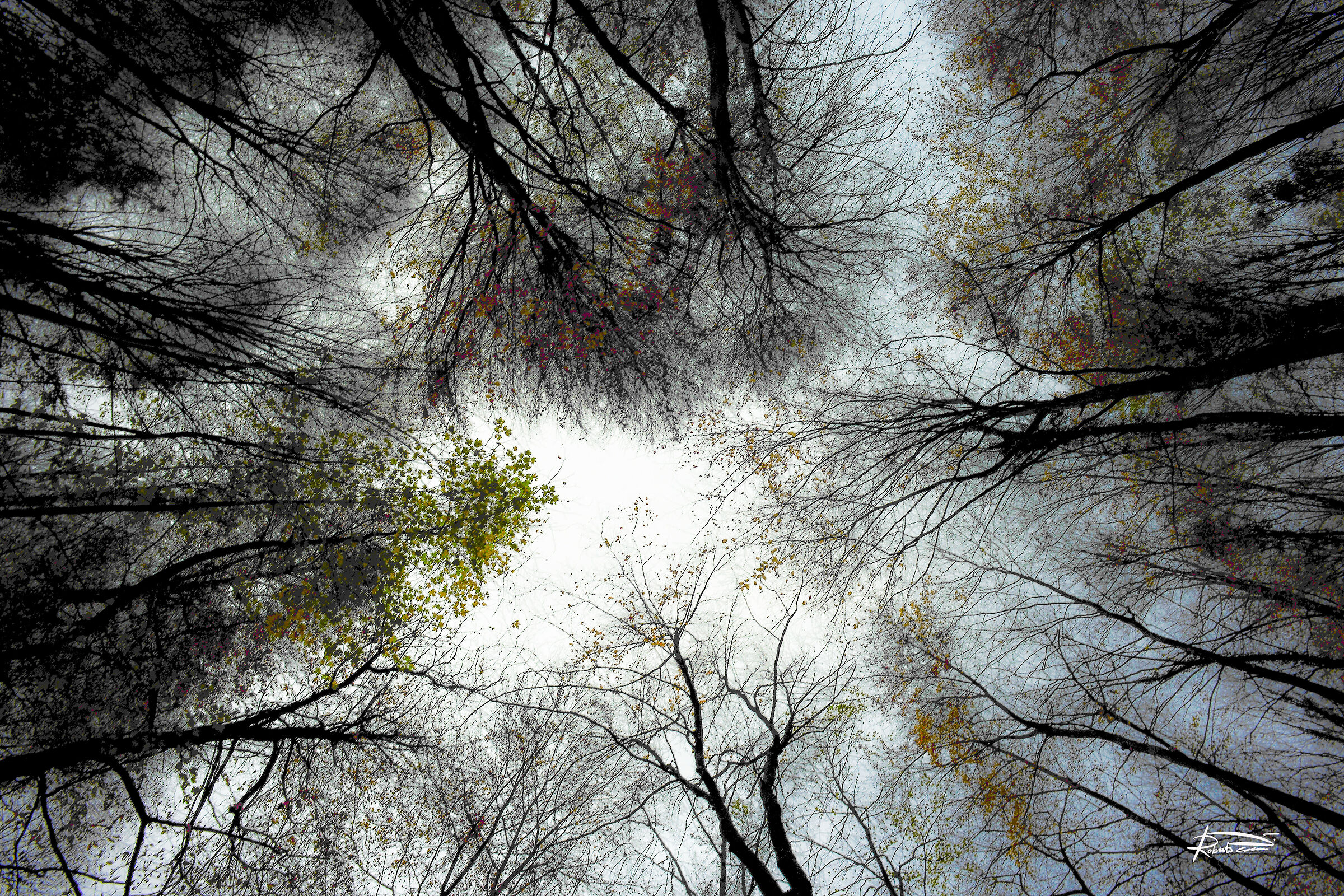 Untitled Photo