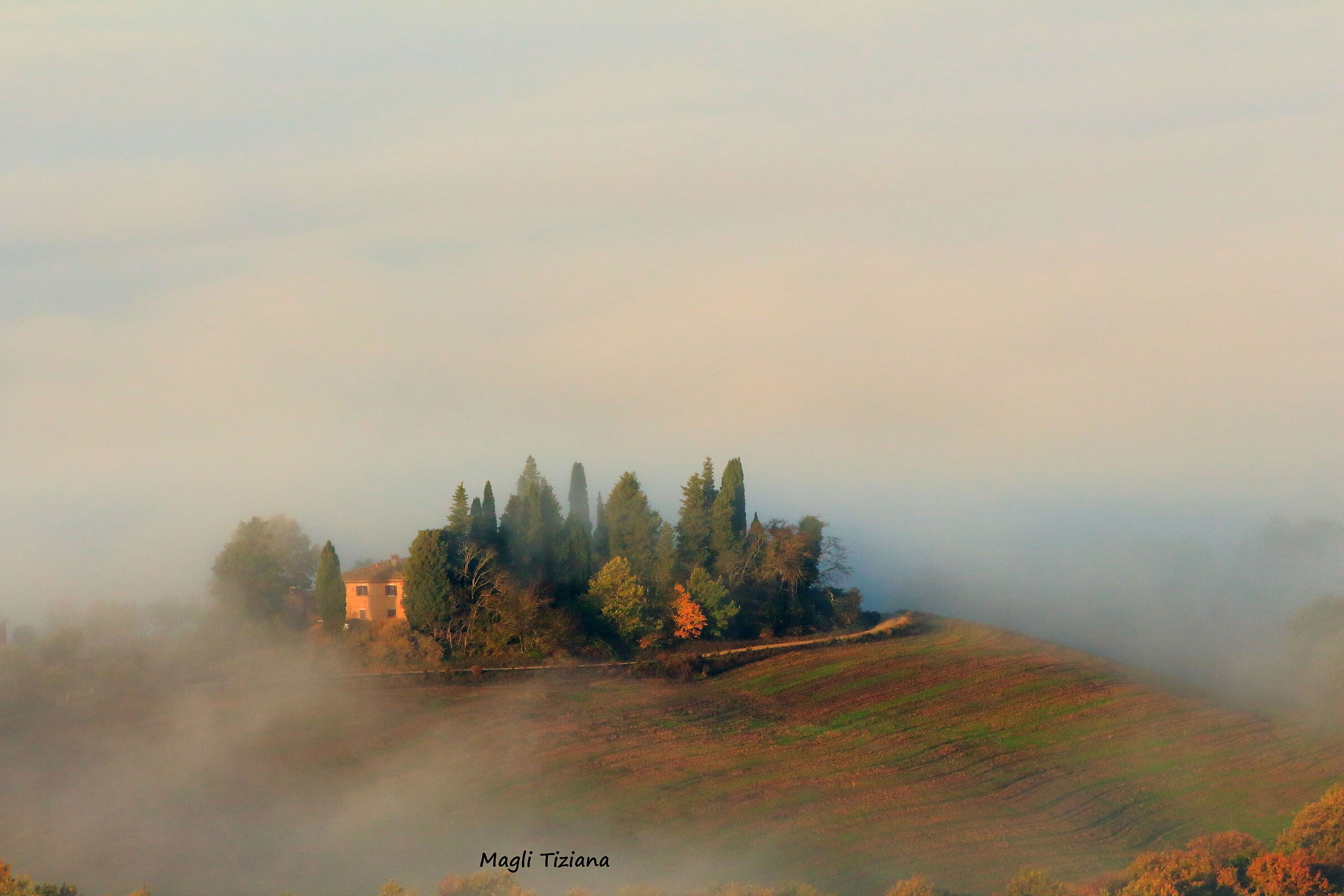 The fog of November