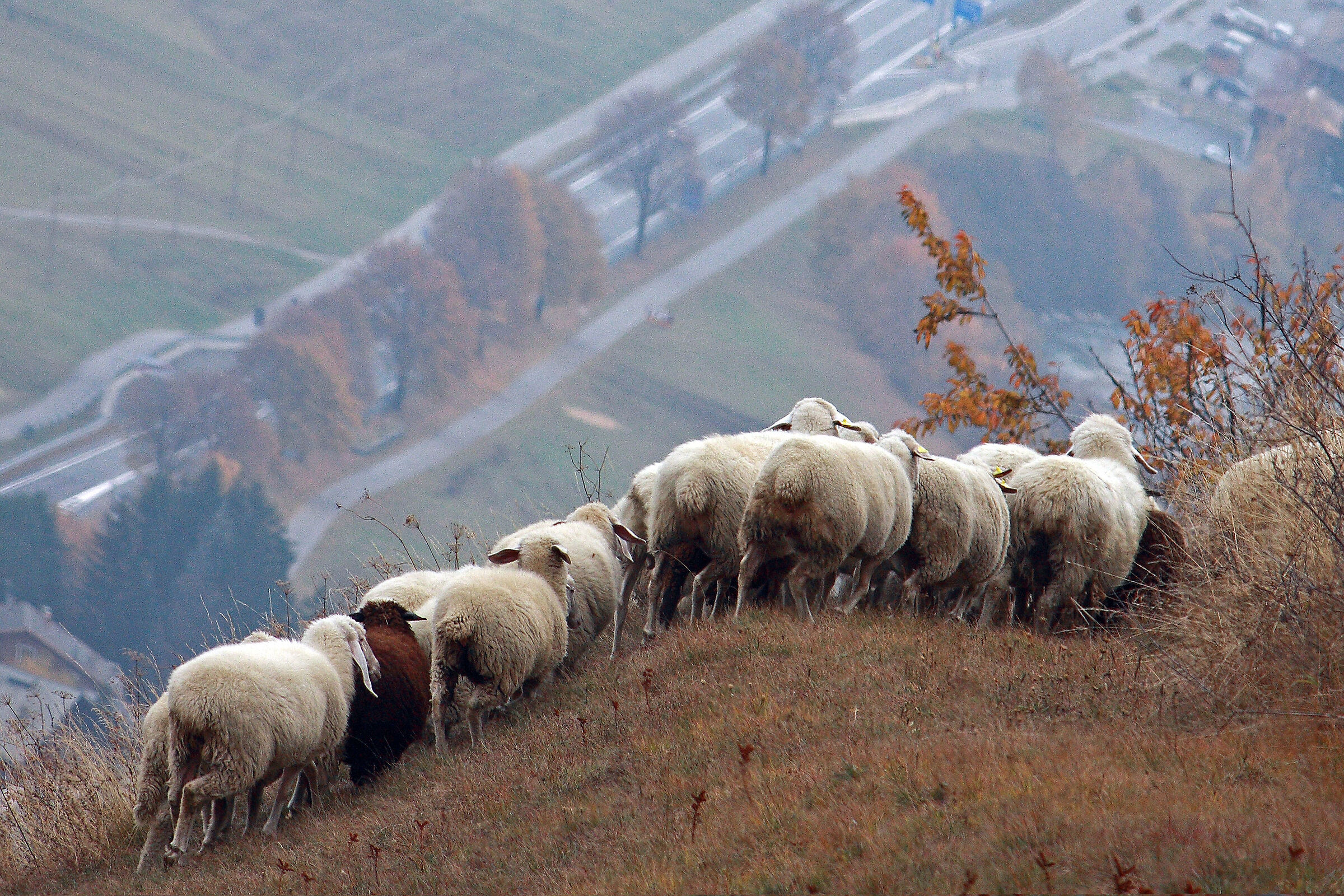 stasera ..giu' a Bormio