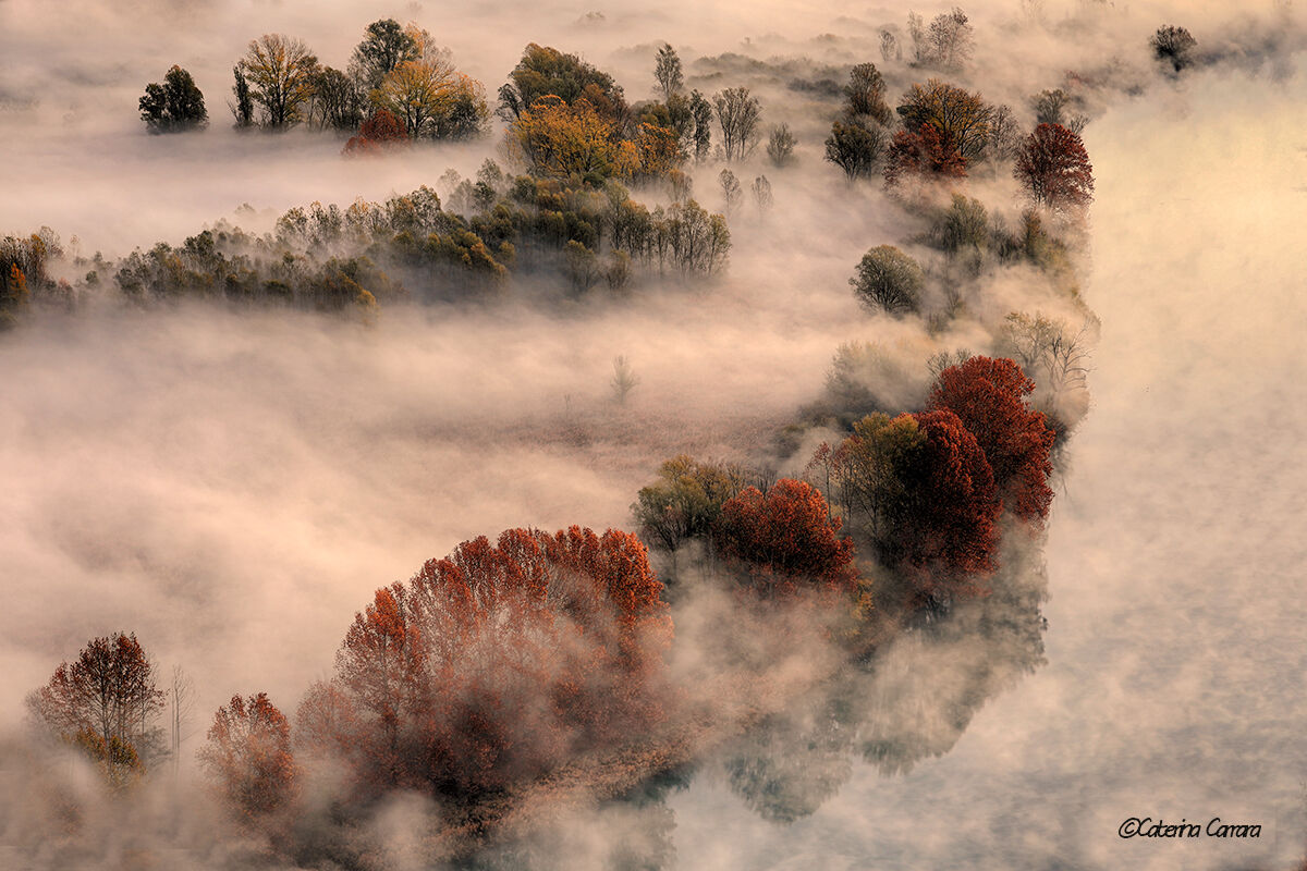 ... and then comes the sun that lights up the colors!