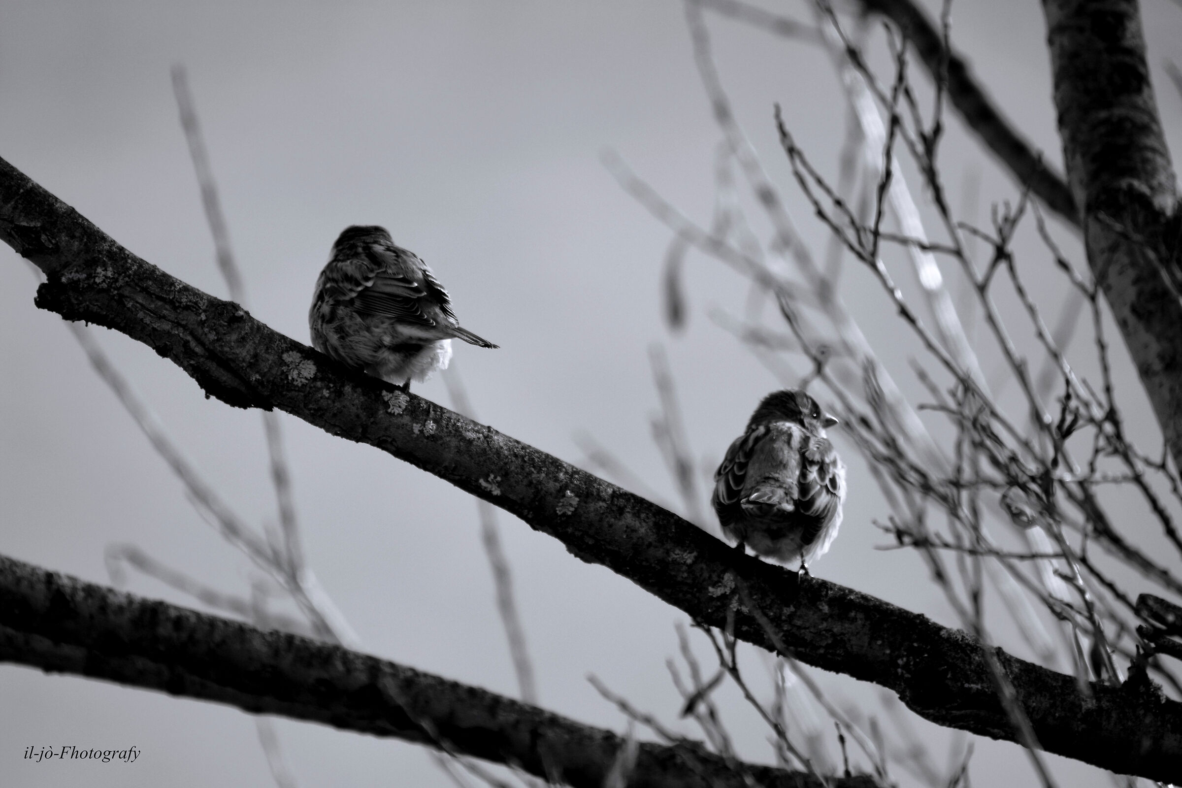 Untitled Photo